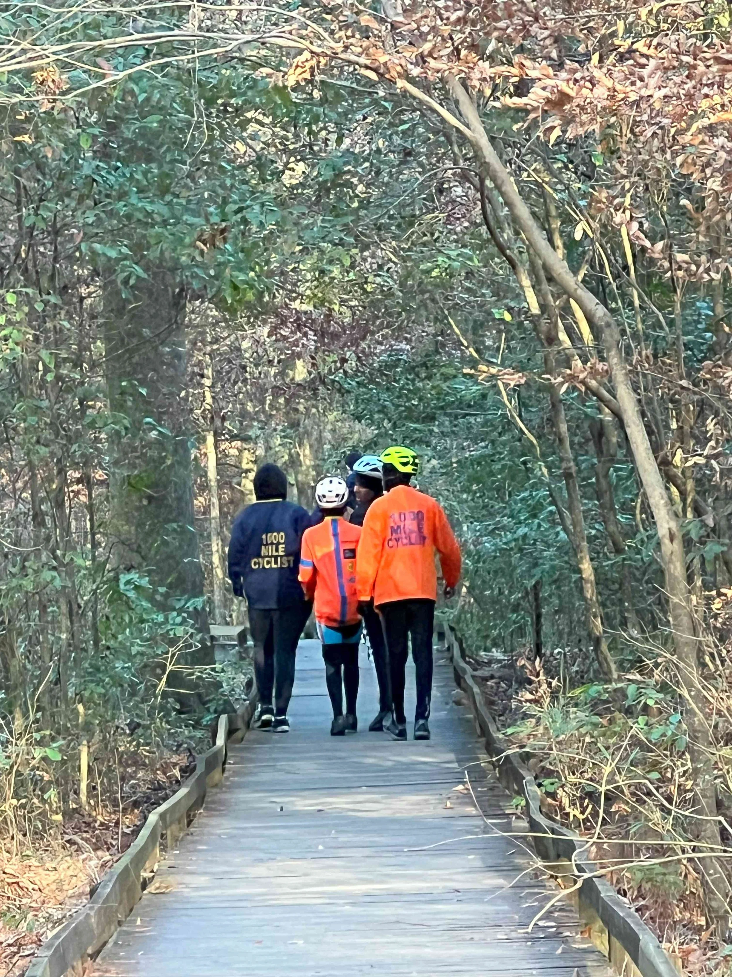 Day 4 Boardwalk Congaree.jpg