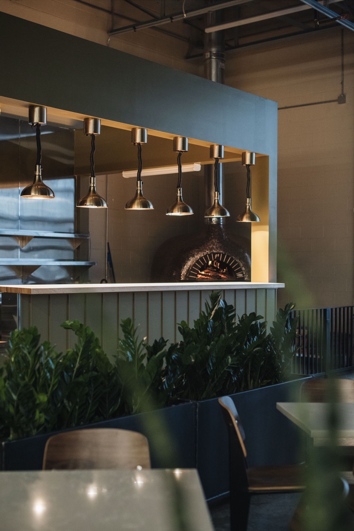 Screenshot 2024-12-06 at 11.41.44 AM.png