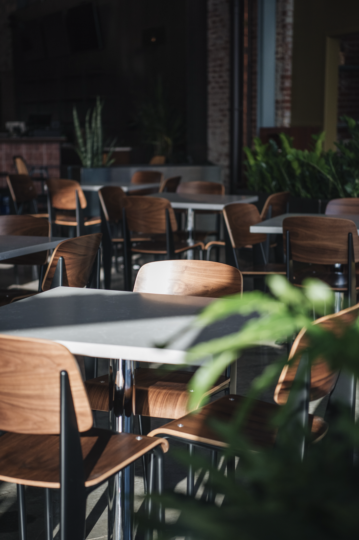 Screenshot 2024-12-06 at 11.46.29 AM.png