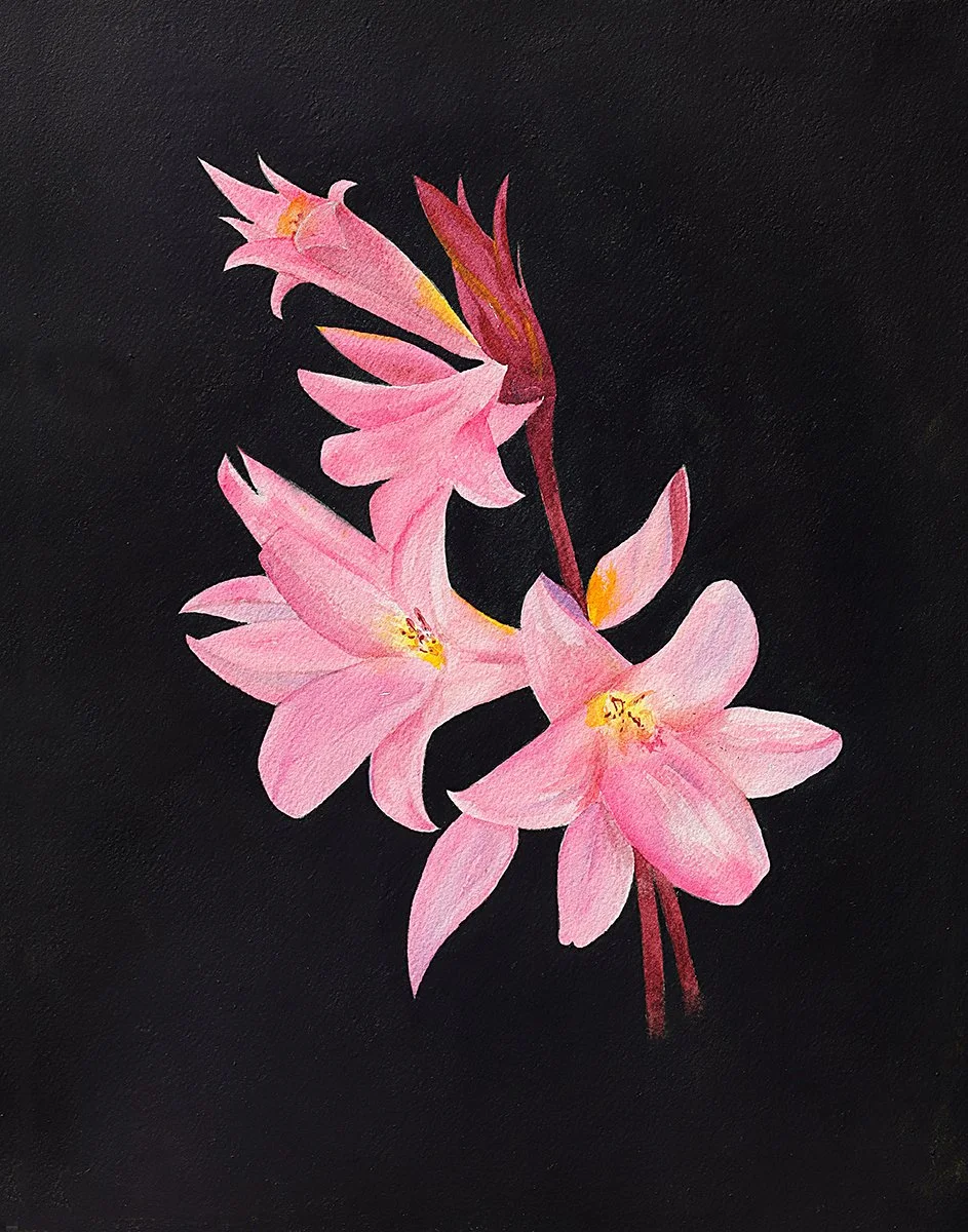 NAKED LAIDES | Watercolor | 11 x 14", panel mounted | Original $275