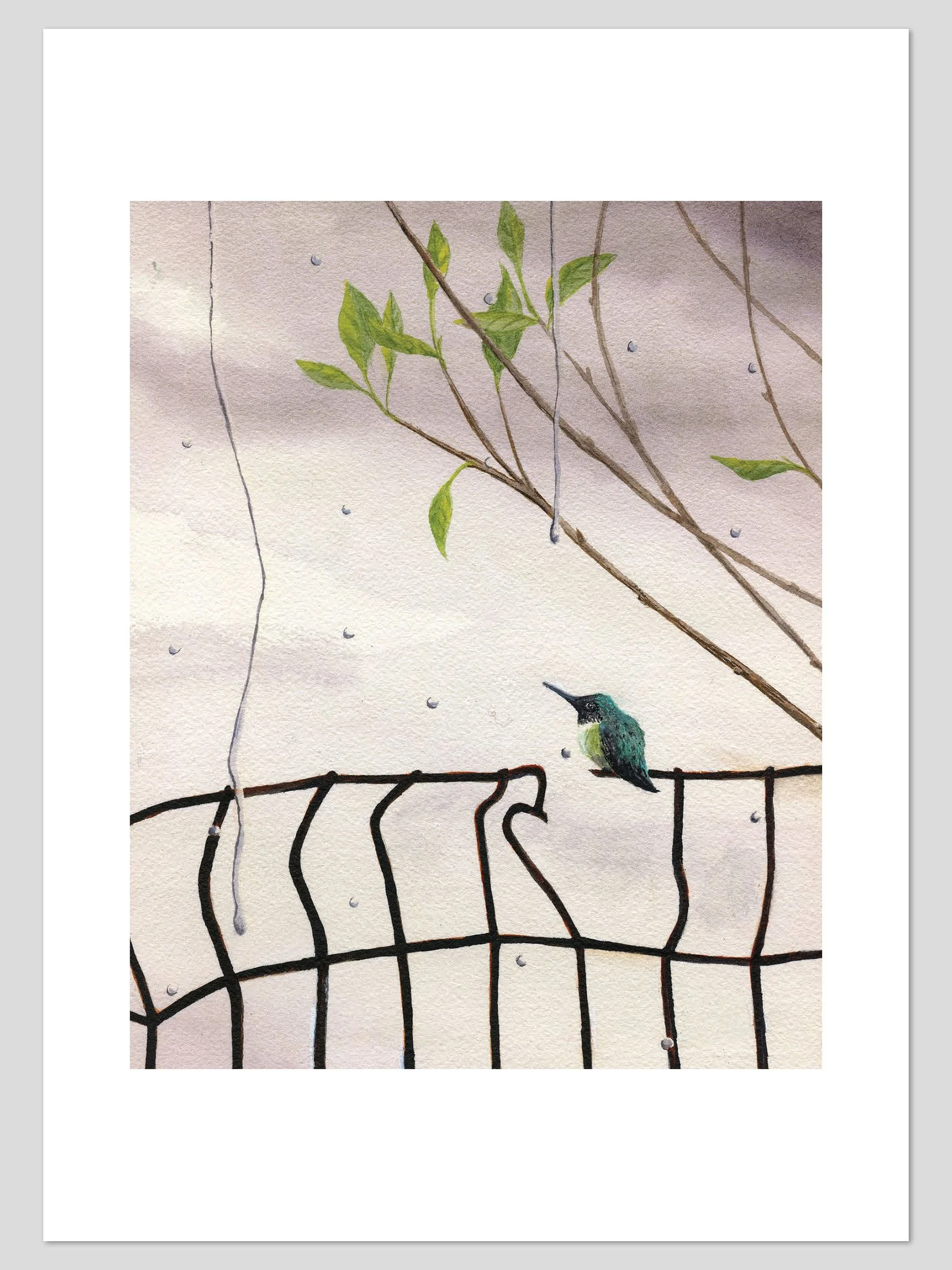 Bird on a Wire Fence