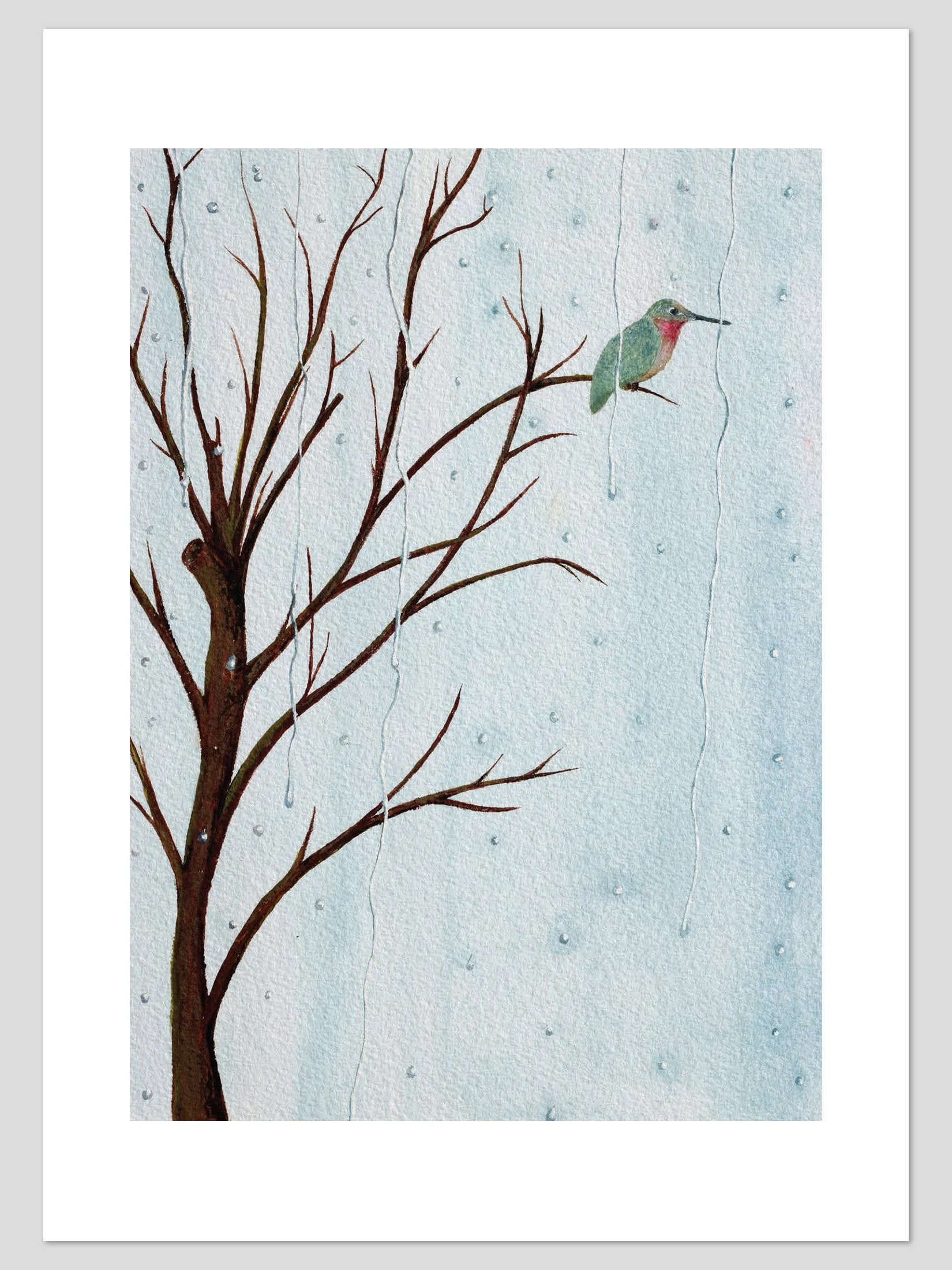 Rainy Day Hummingbird