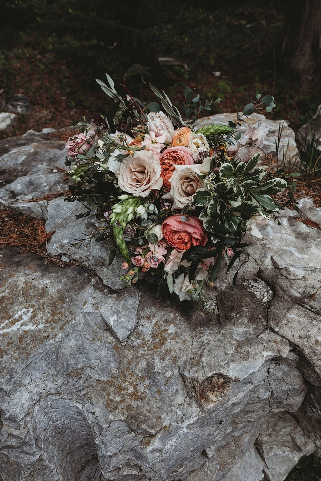 Abigail Miles Photography_Website use only28.jpg