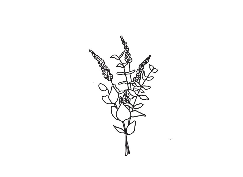 Lavender & Eucalyptus Conditioner