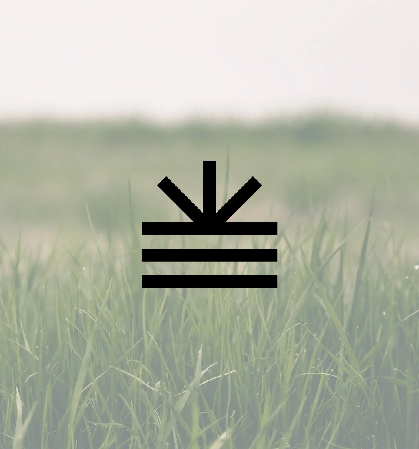 lawn care