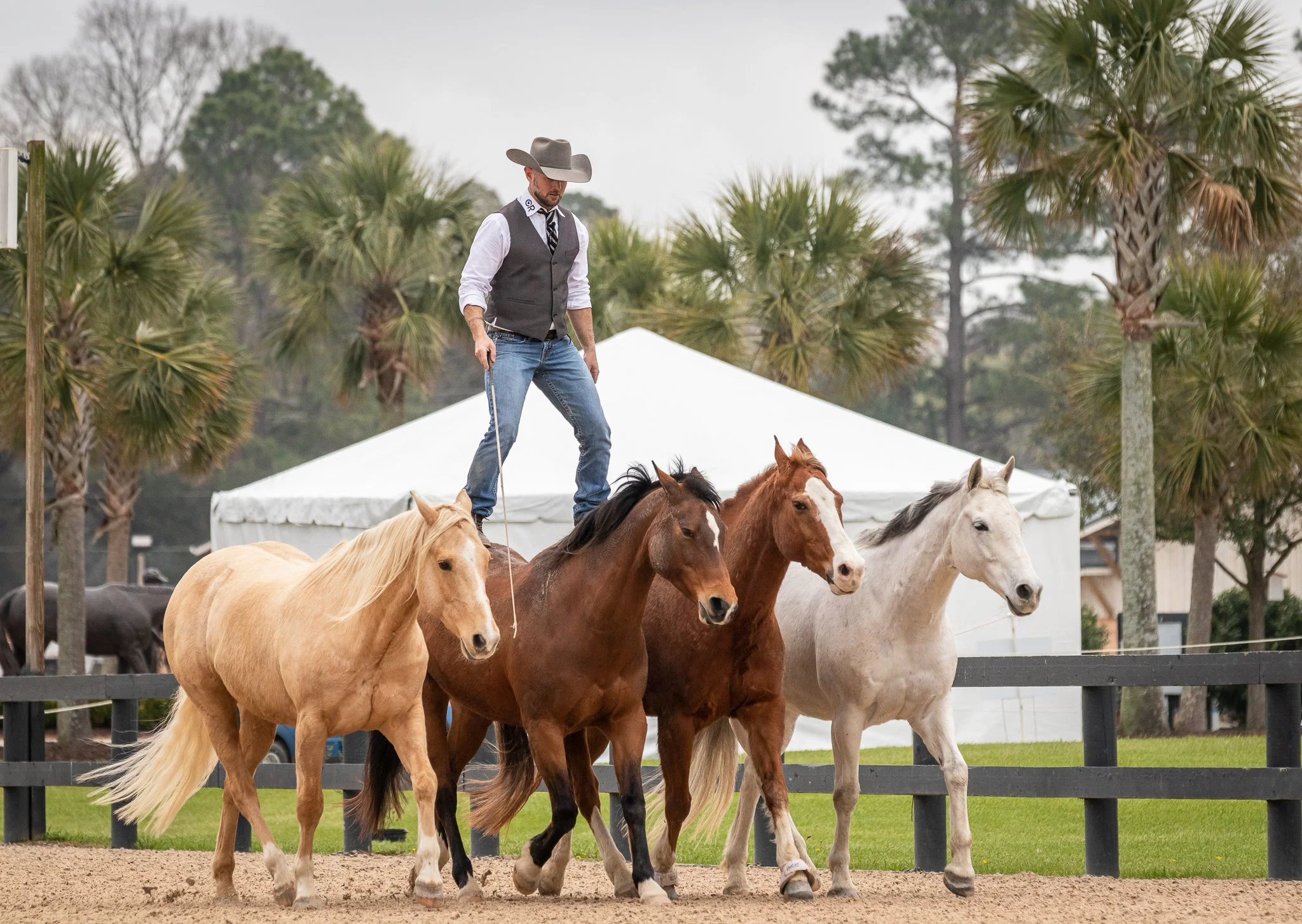 Double Dan Horsemanship Performance