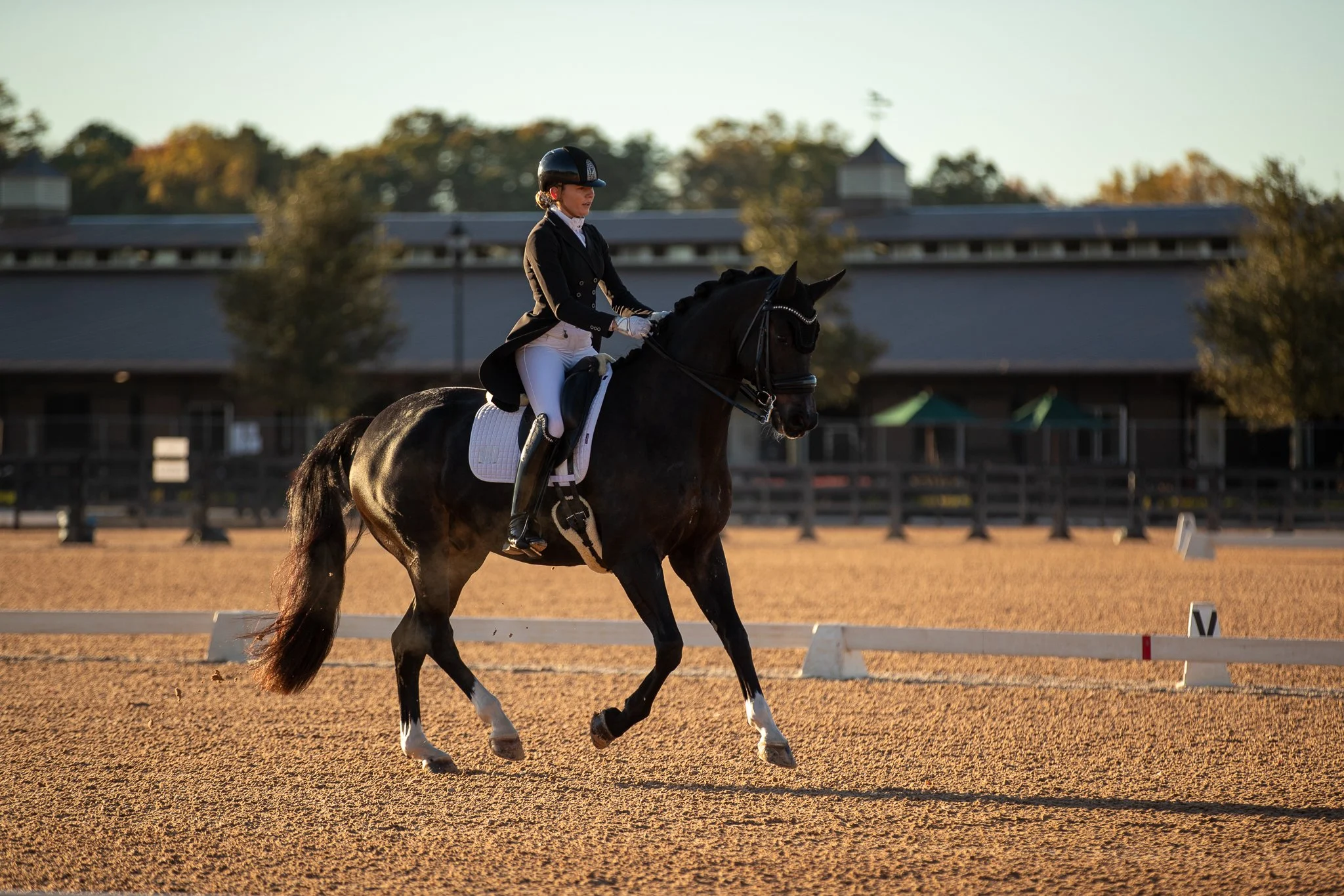 Tryon Fall Dressage 1&amp;2 