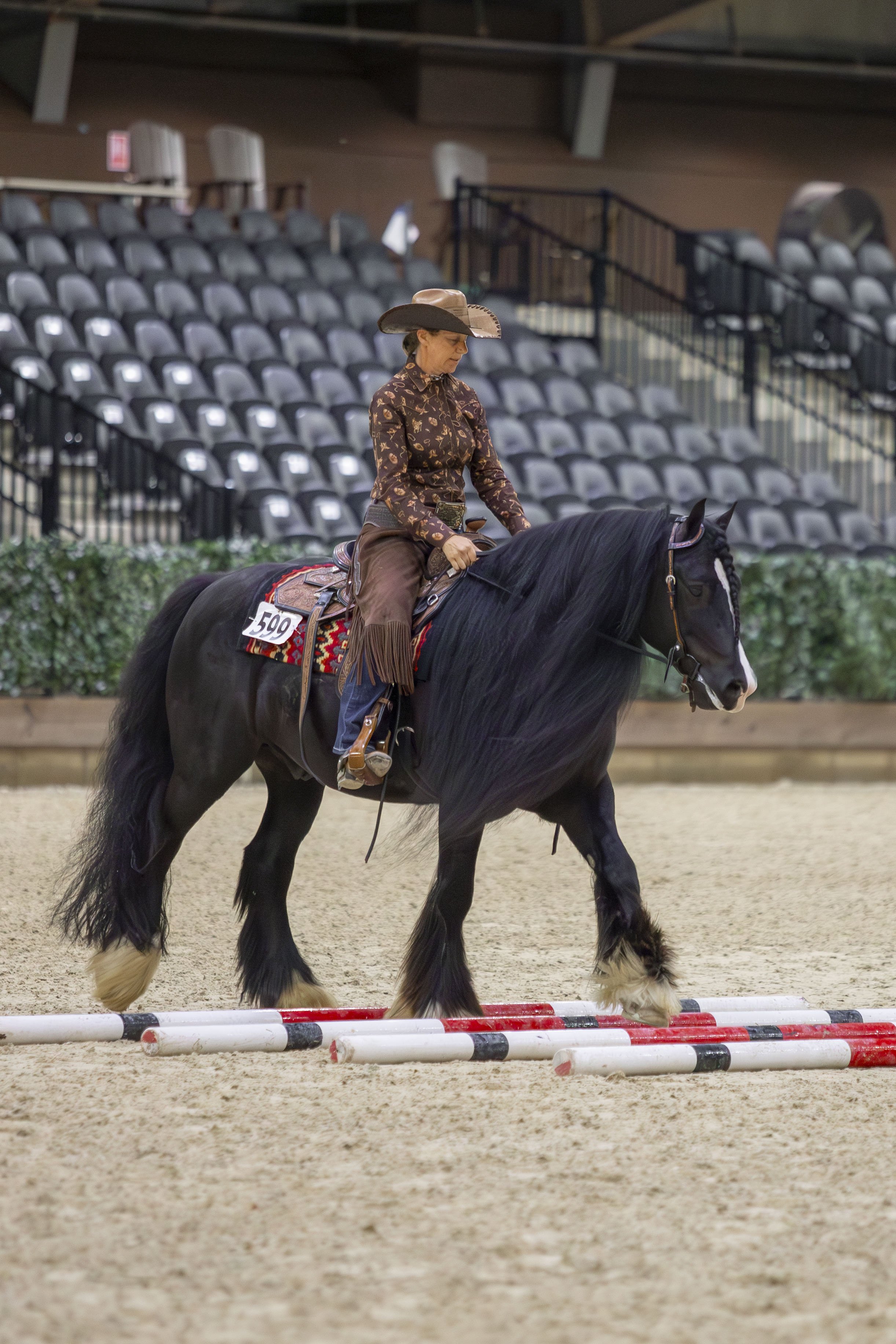 Magnolia in The Mountains Sport Horse Classic 