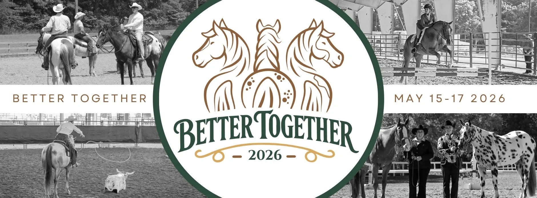 Better Together All Stock Horse Breed Show