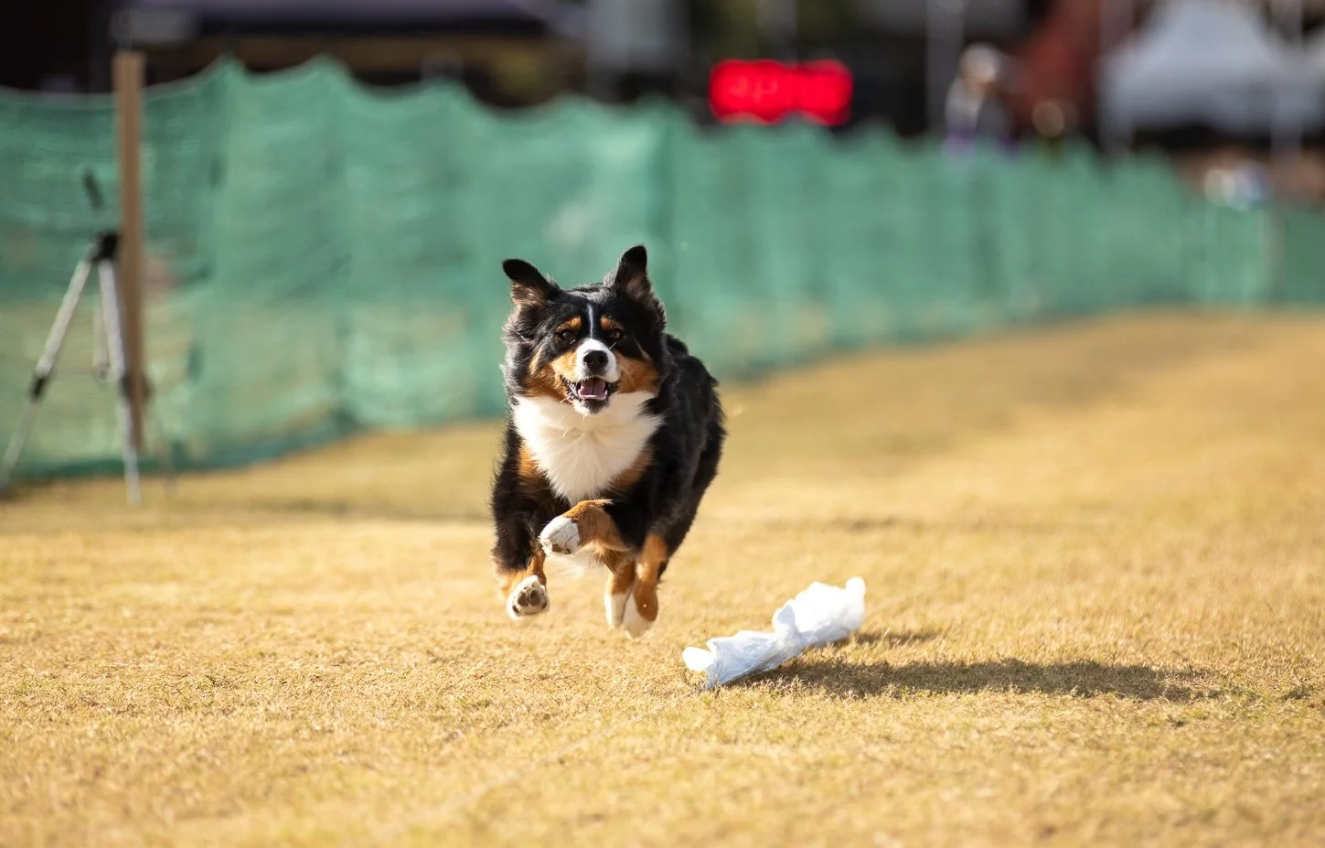 FastCAT & CABT Trials