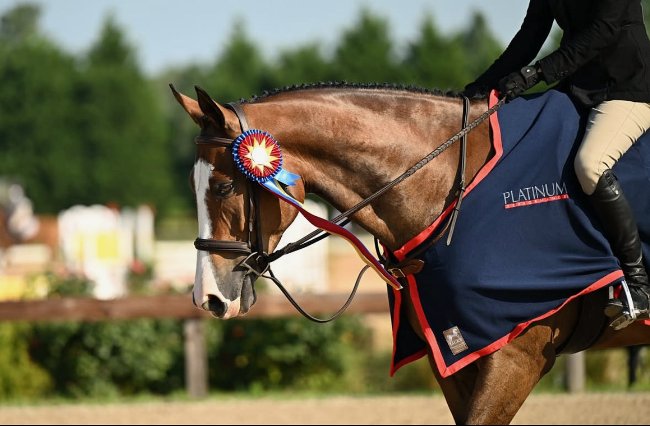 Tryon International to Host The NCHJA Annual Show in June 2026