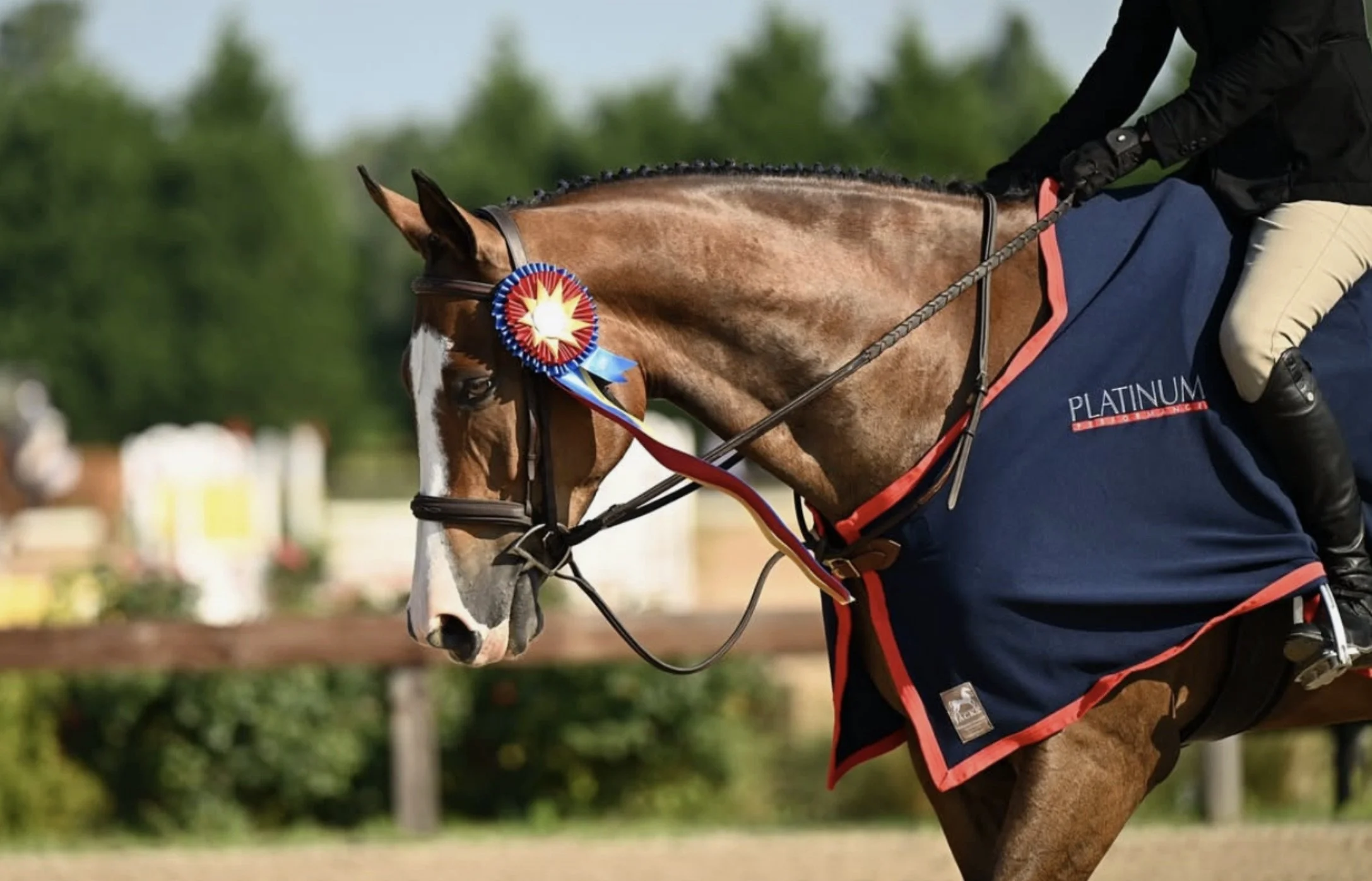 NCHJA Annual Show at Tryon International 