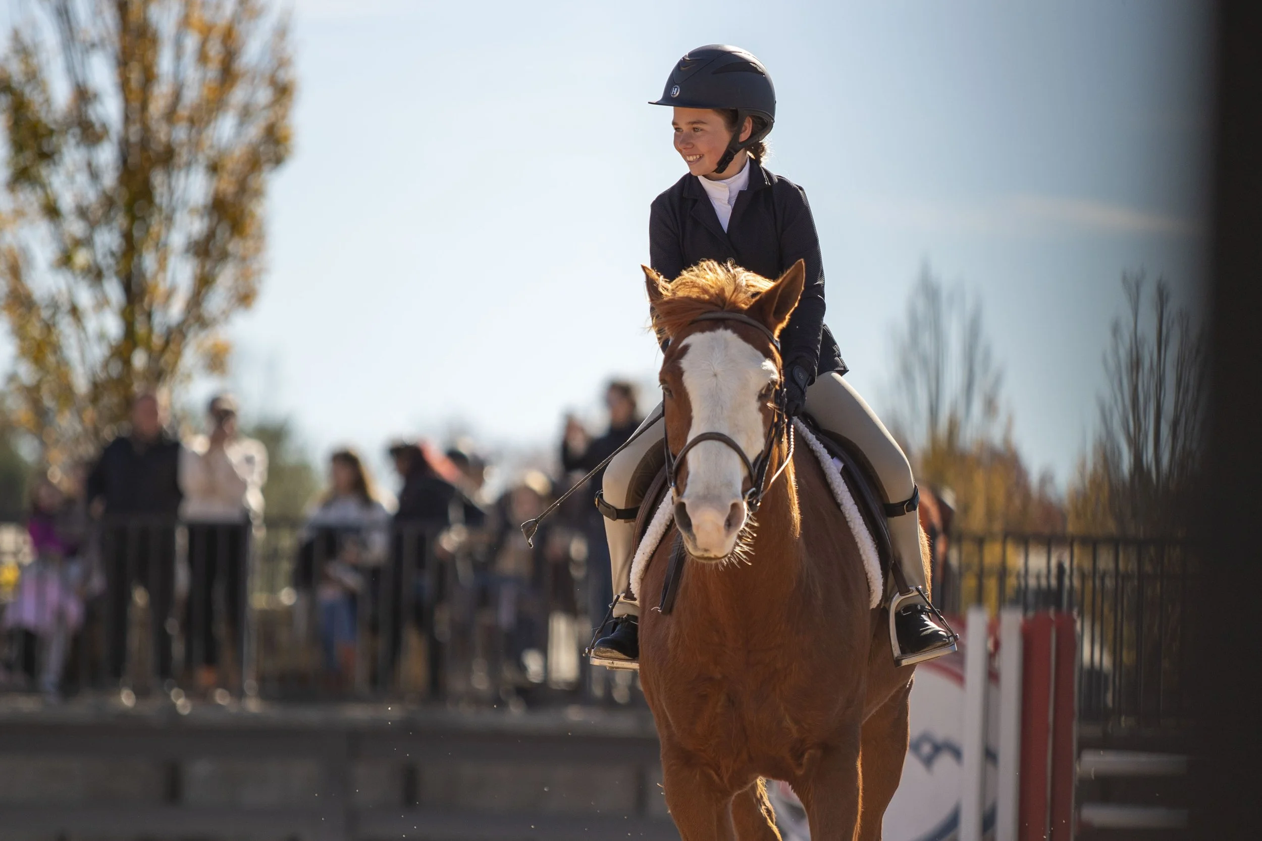 Harmon Classic Derby Mania