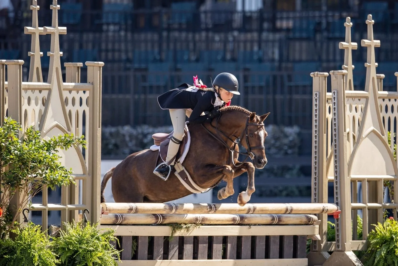 Pony Spectacular 