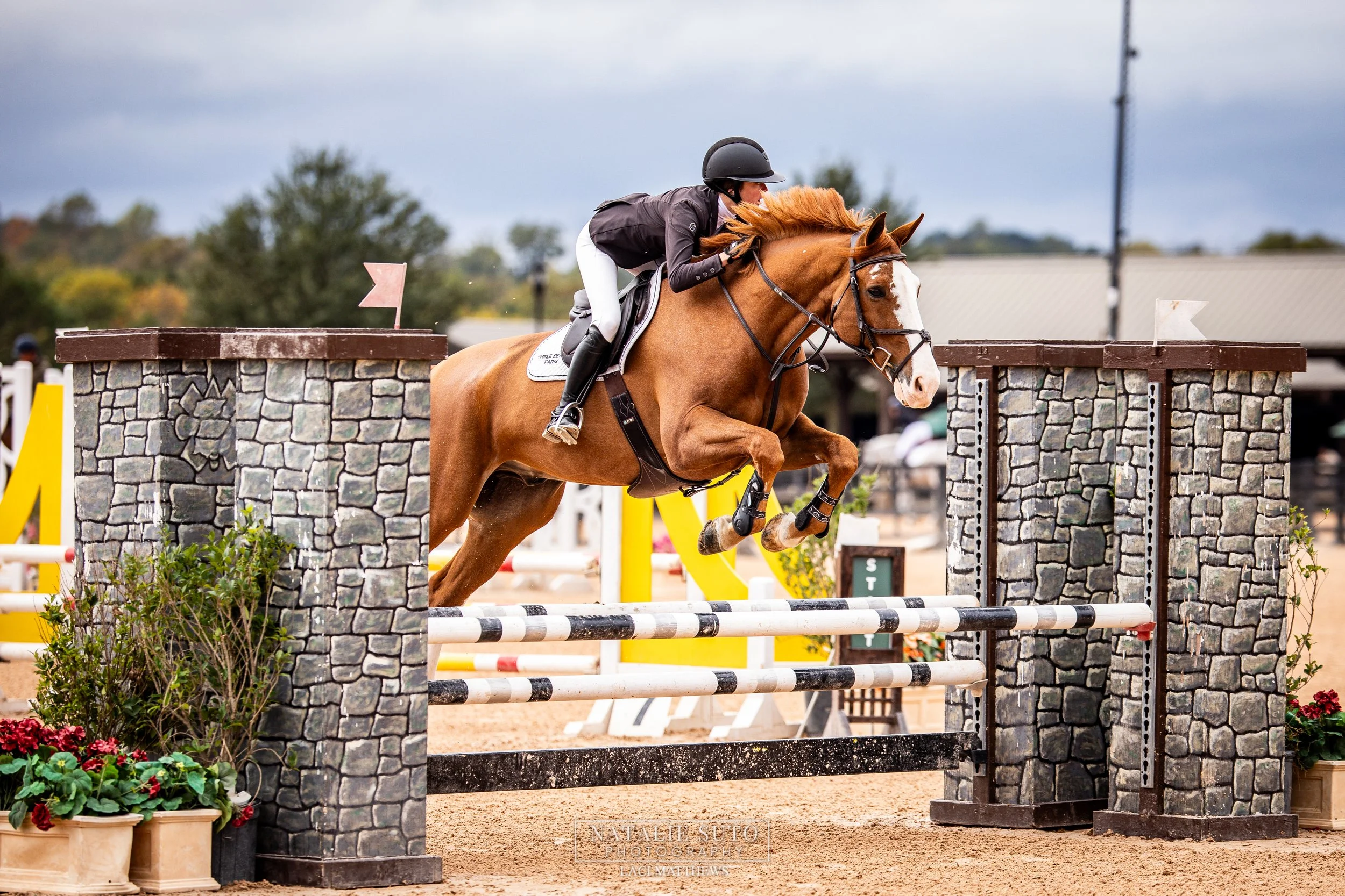 Tryon Fall 1 (Regional/Level 3)