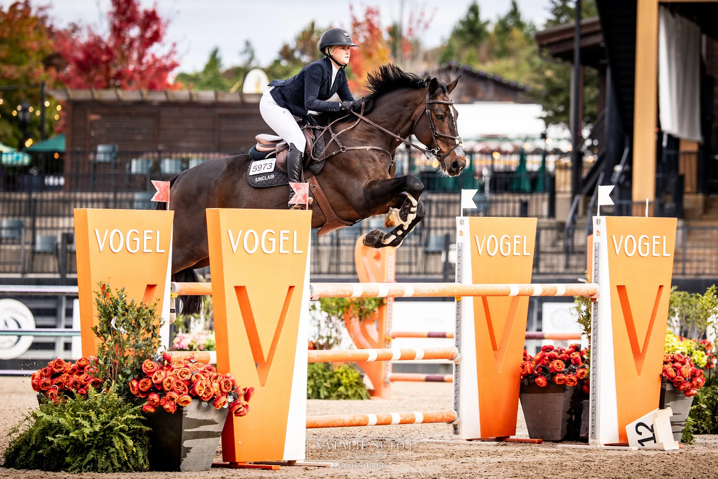 Tryon Fall 3 (National/Level 5/CSI 2*)