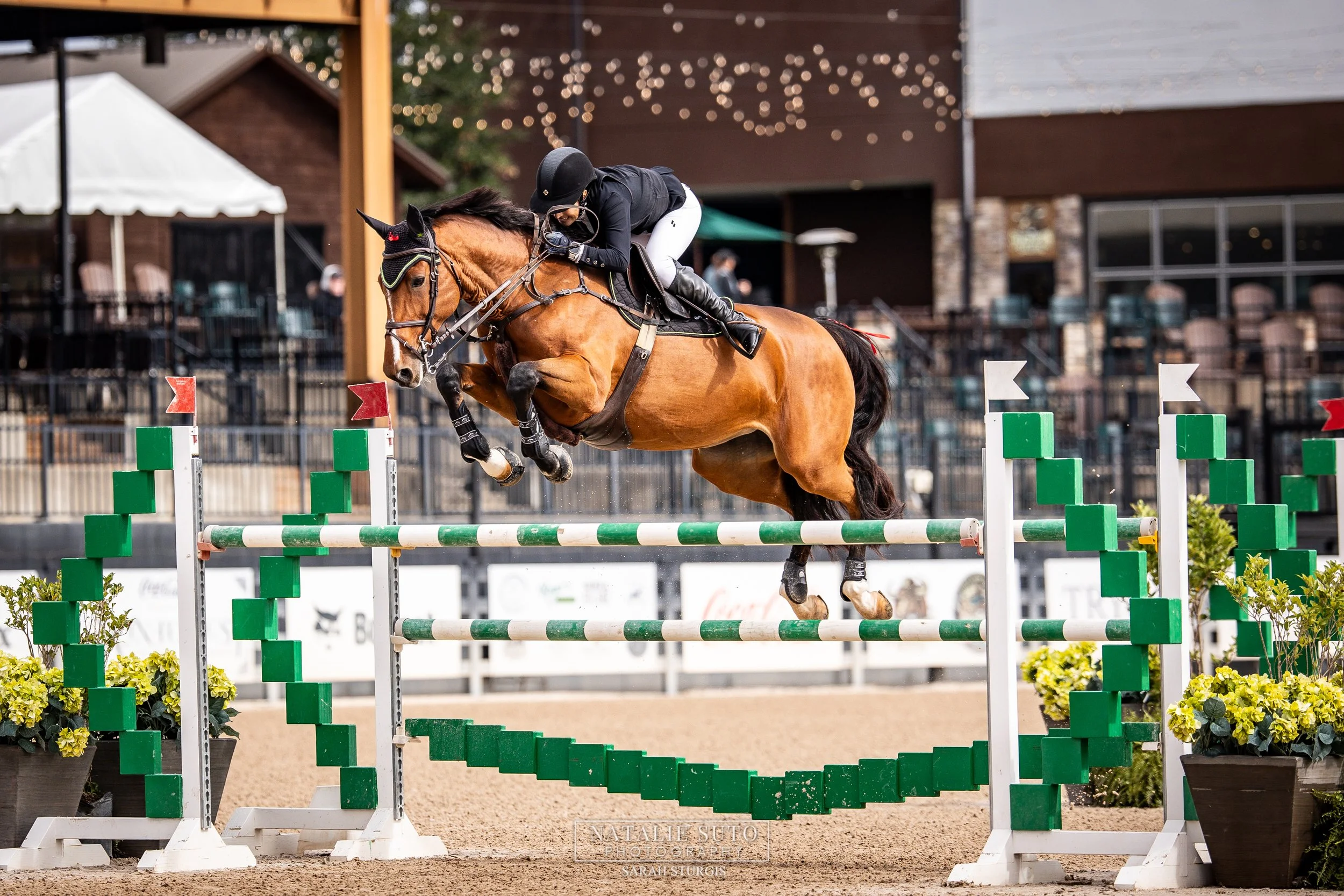 Tryon Fall 6 (National/Level 5/CSI 2*)