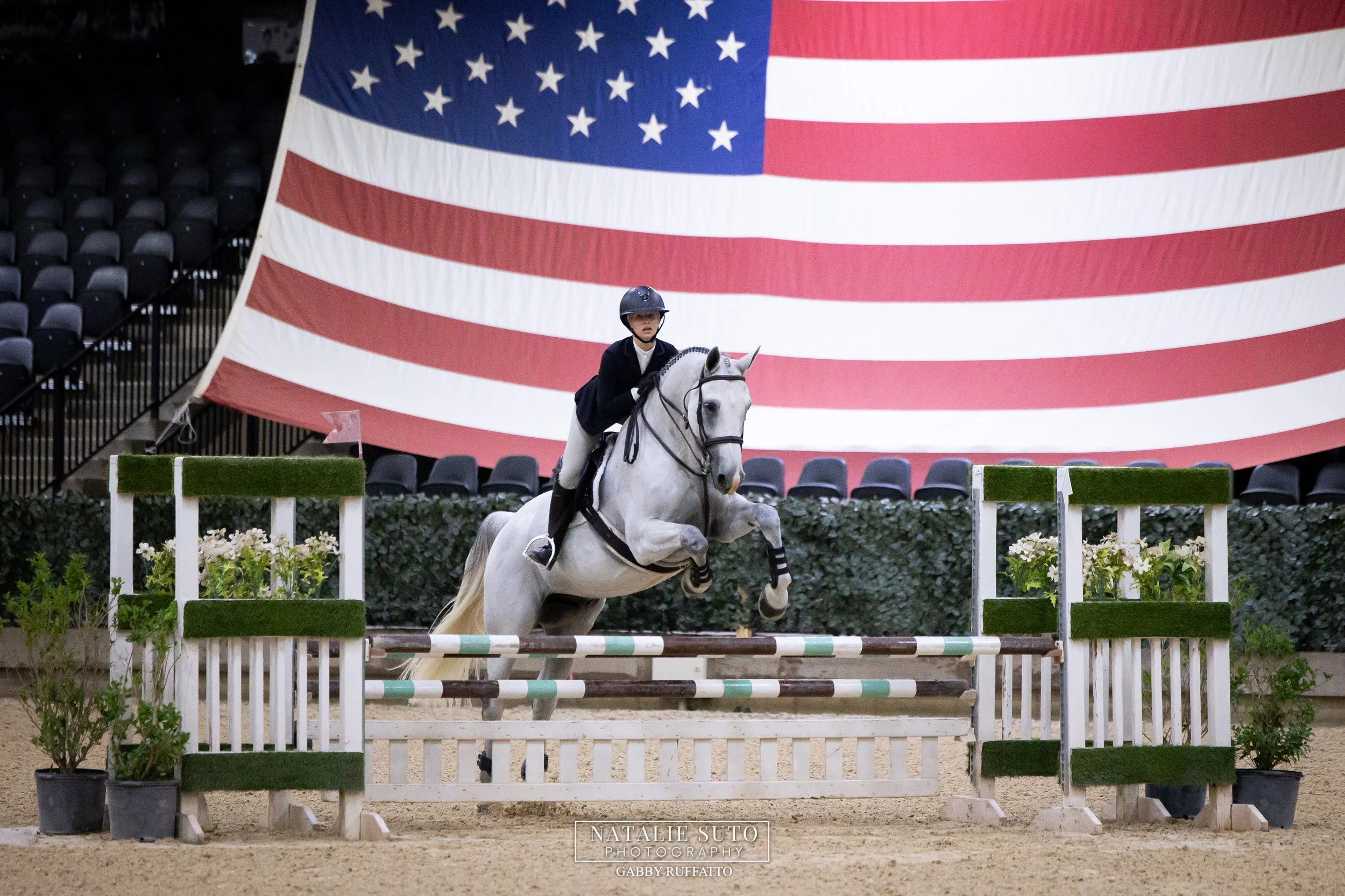 National Horse Show Competition Week 1