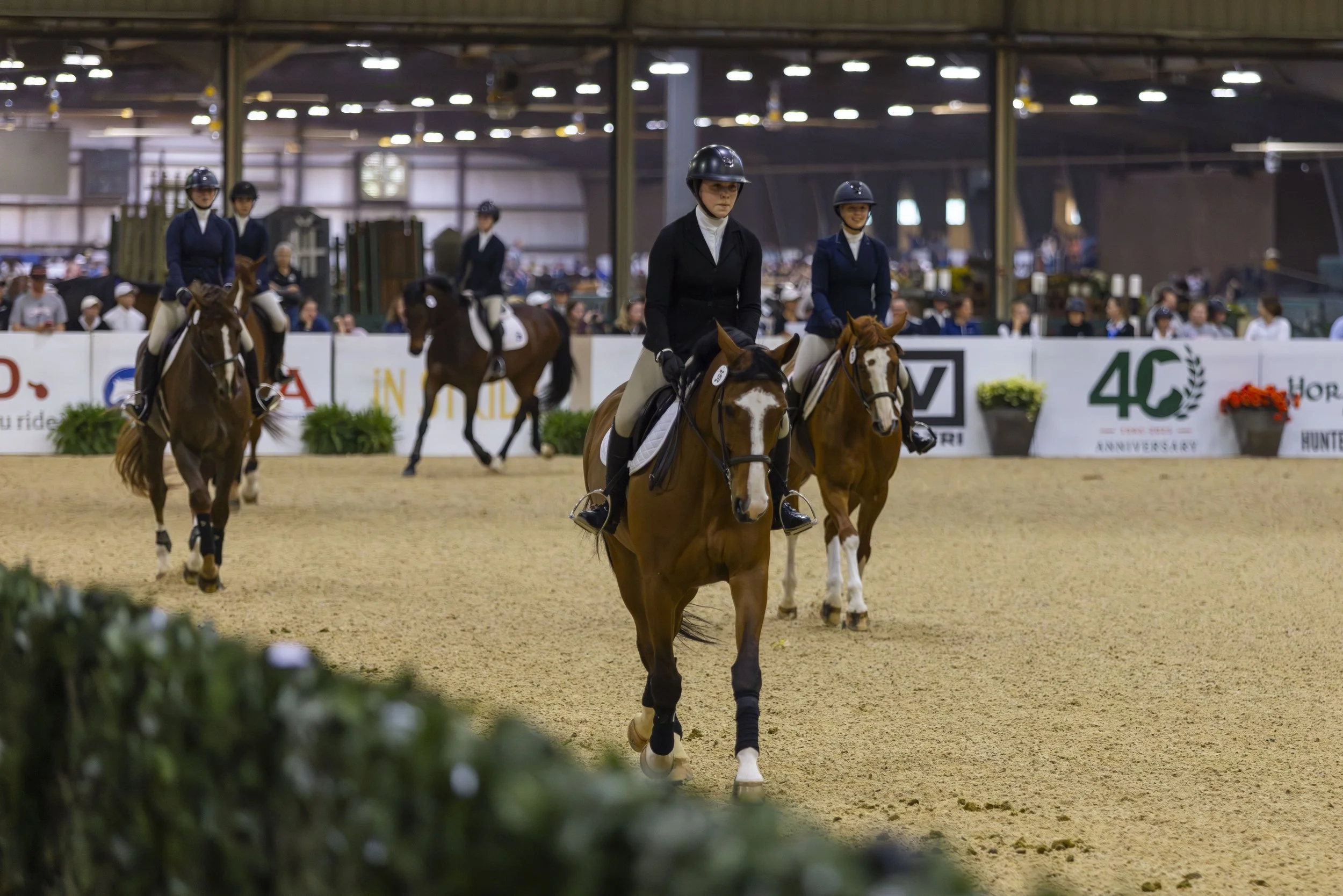 National Horse Show Competition Week 2