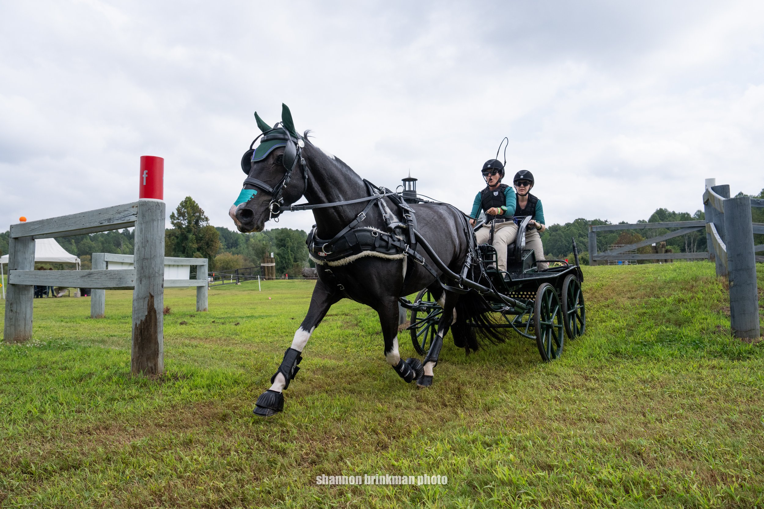 TDR26brinkman9-19M2R-06388.jpg