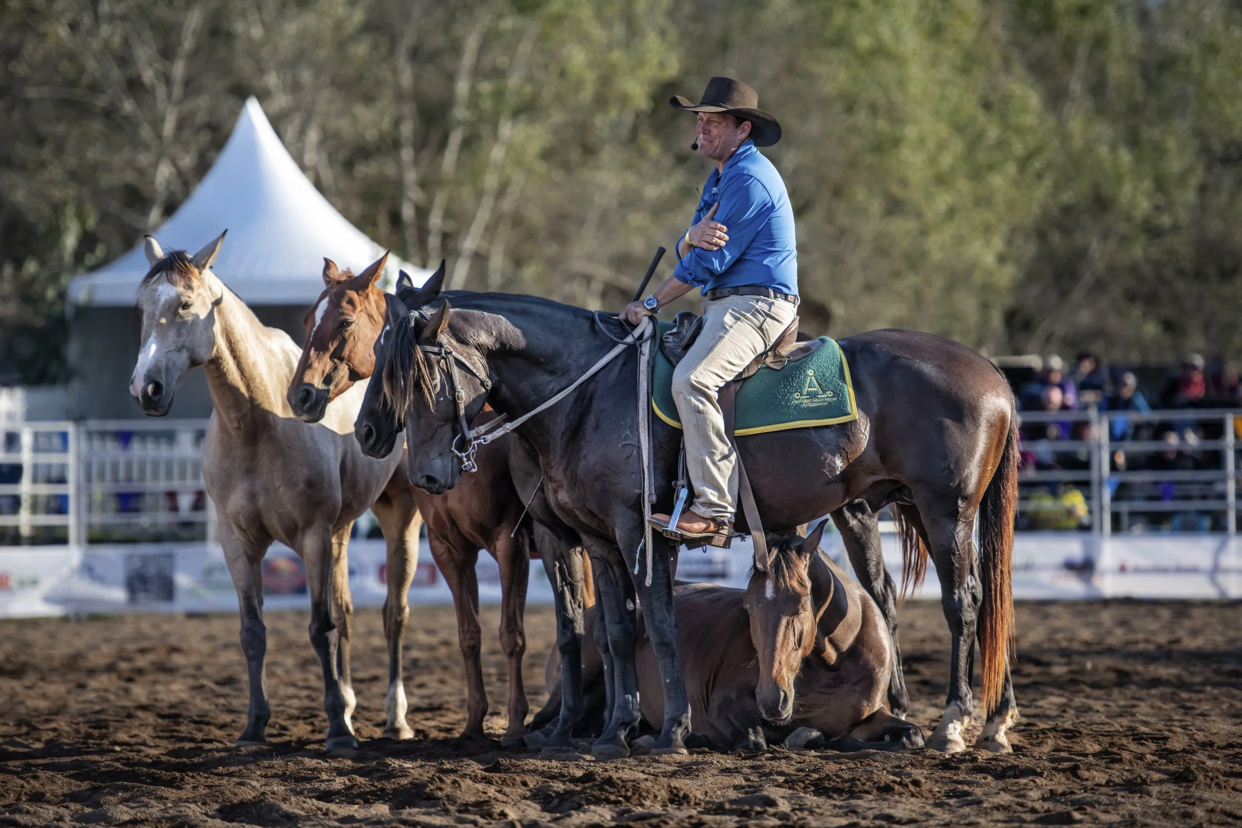 Snowy River Festival.jpg
