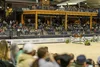 Tryon International