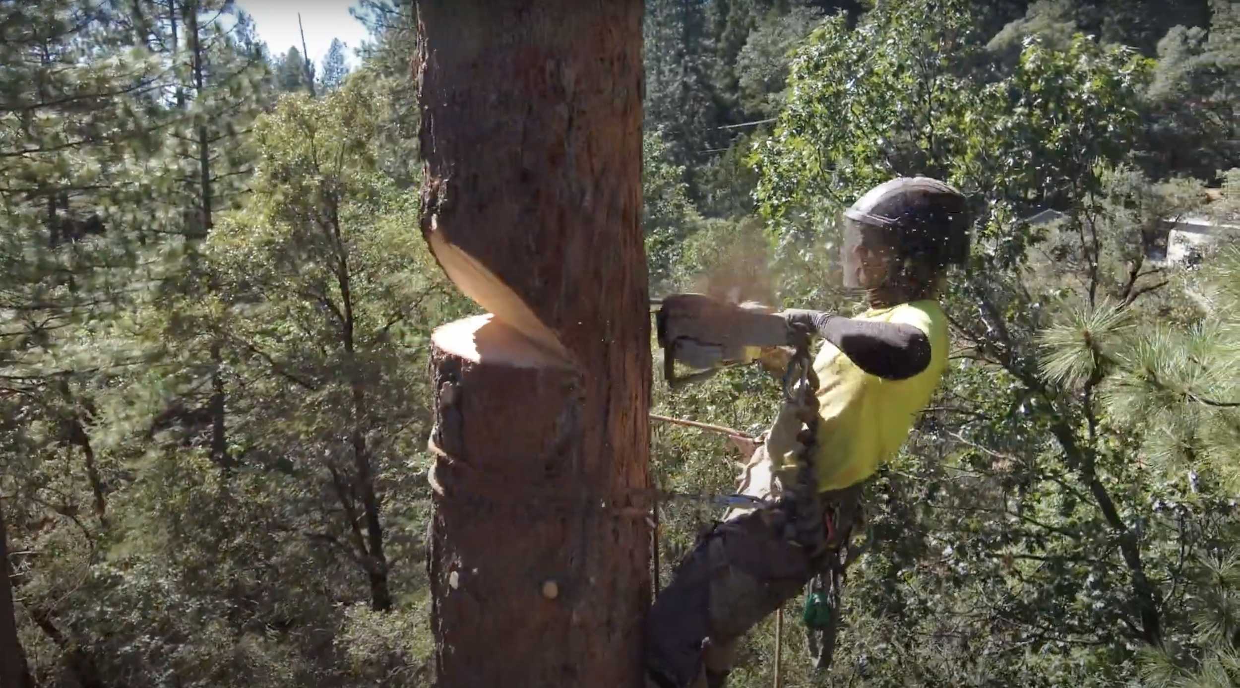 Screen Shot 2023-02-06 at 1.03.51 PM.png