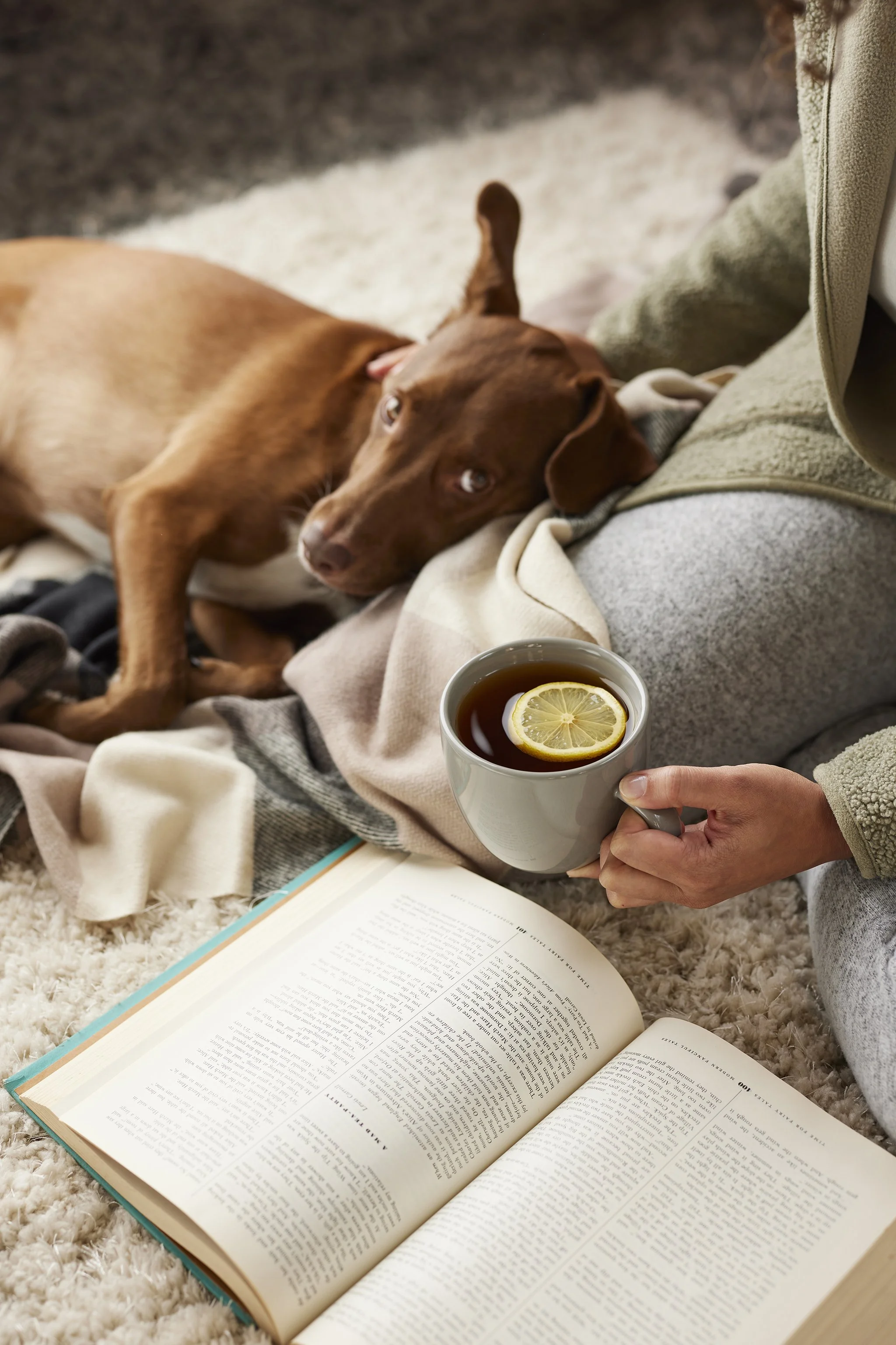 Holiday_Winter_Warmth_V1_0063.jpg