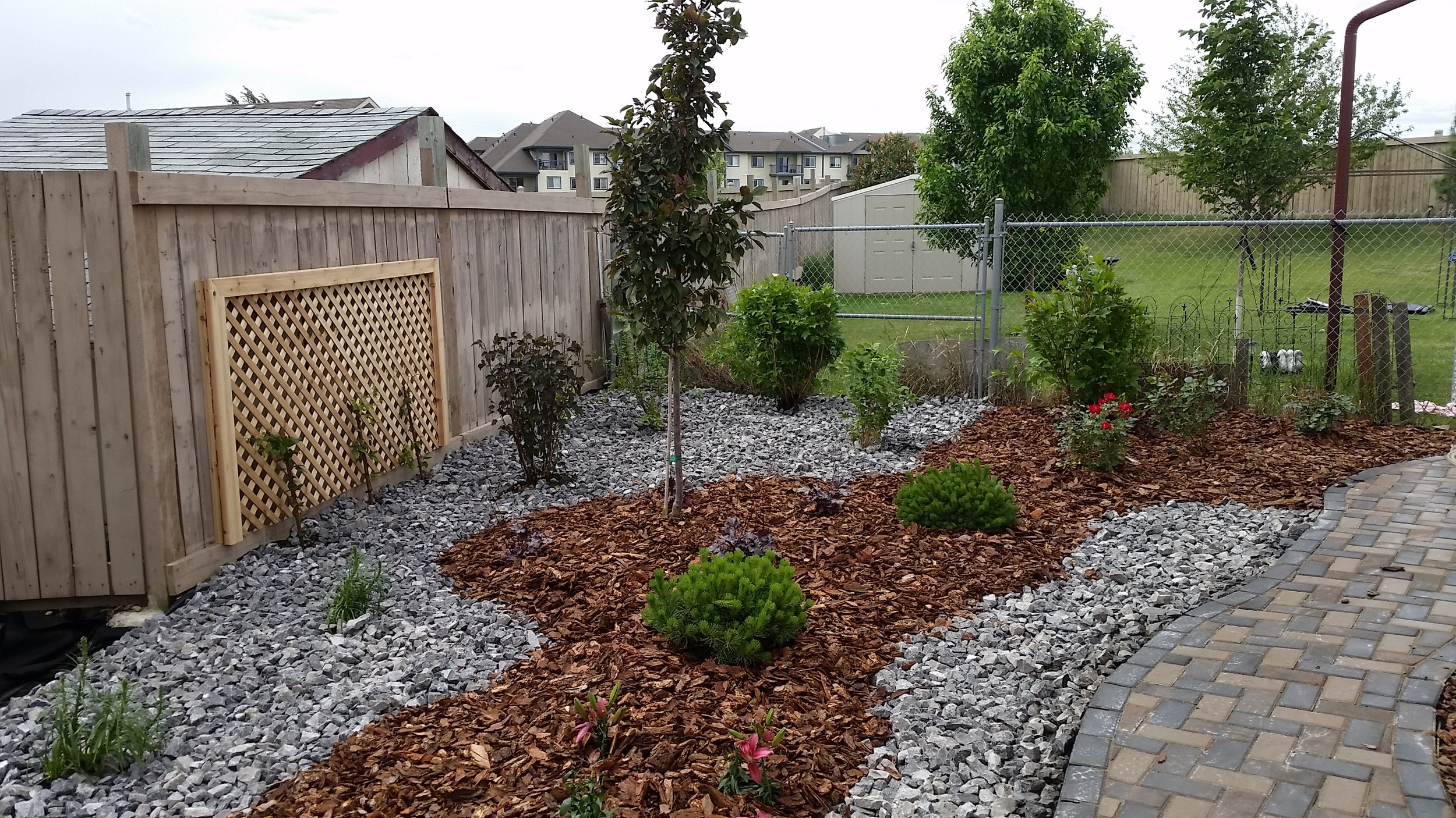 20150612_120230.jpg