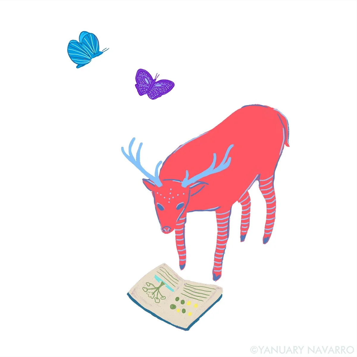 deer_reader_yanuary_navarro.jpg