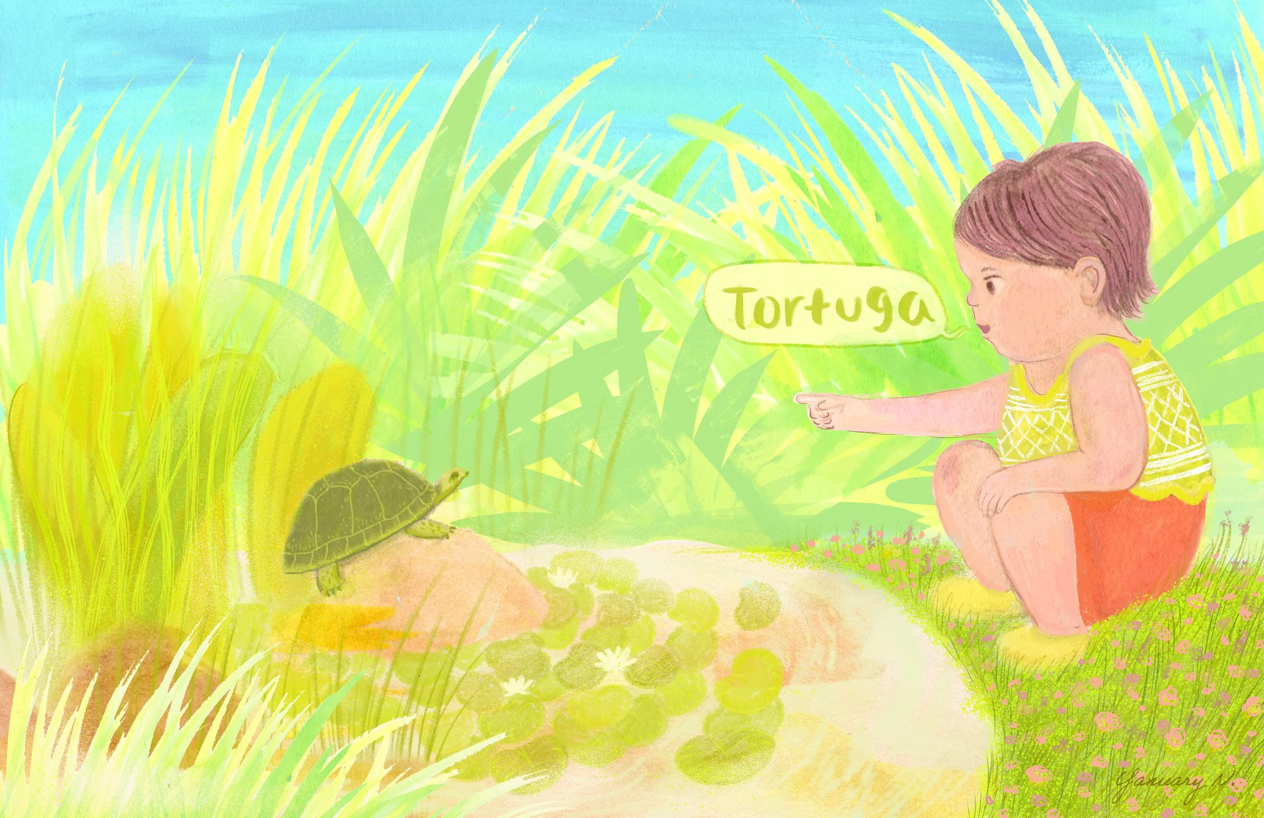 Tortuga_v3_yanuary_navarro_2023.jpg