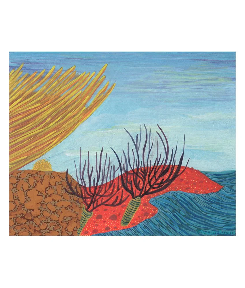 coral_sea-side_illustration_01_yanuary_navarro_2019.jpg