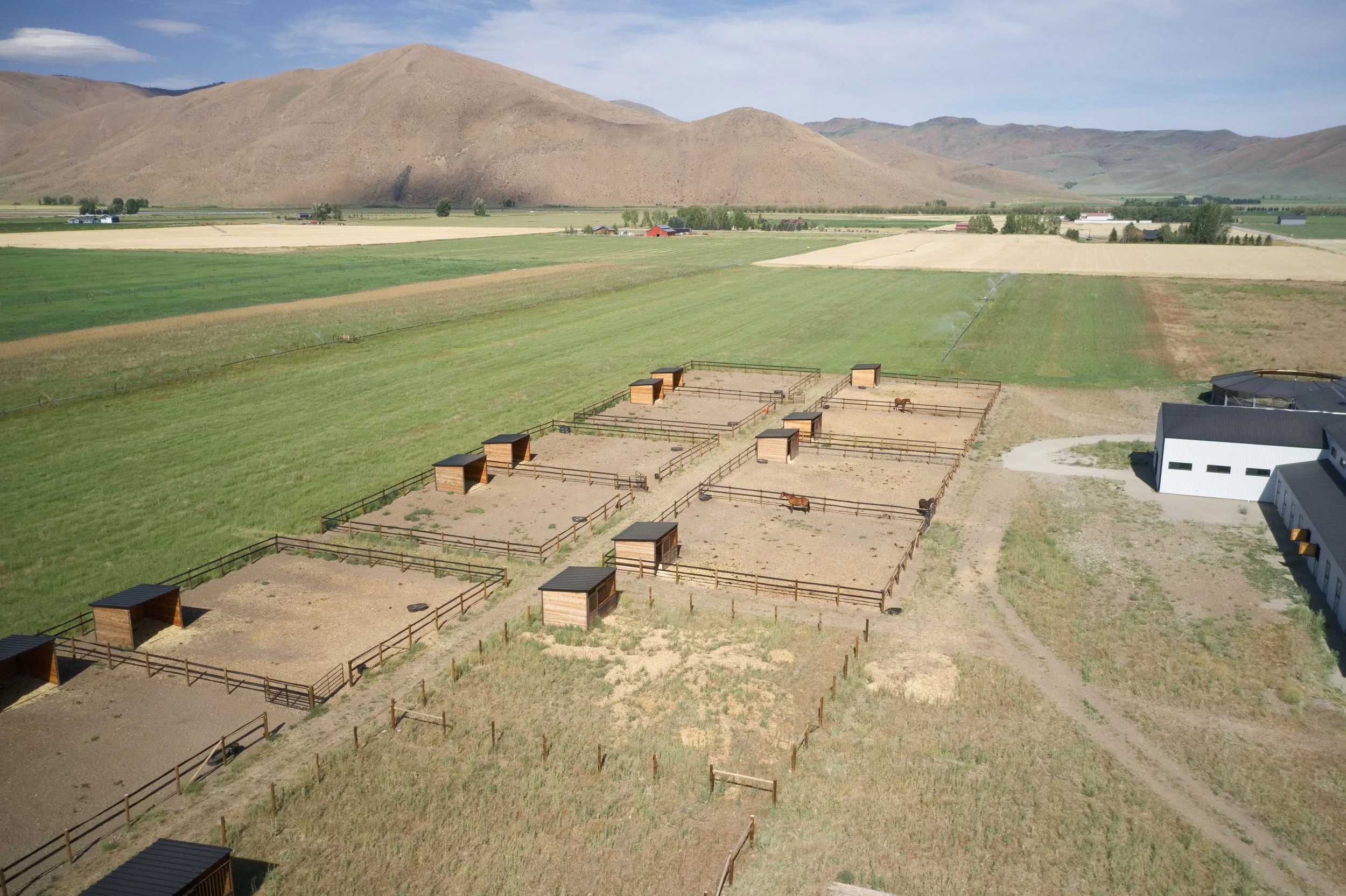 Turnout Paddocks.jpeg