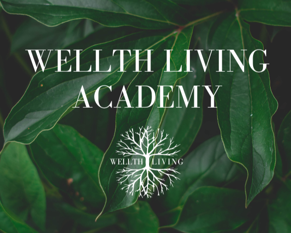 WLA2 Nosara Coming Soon!