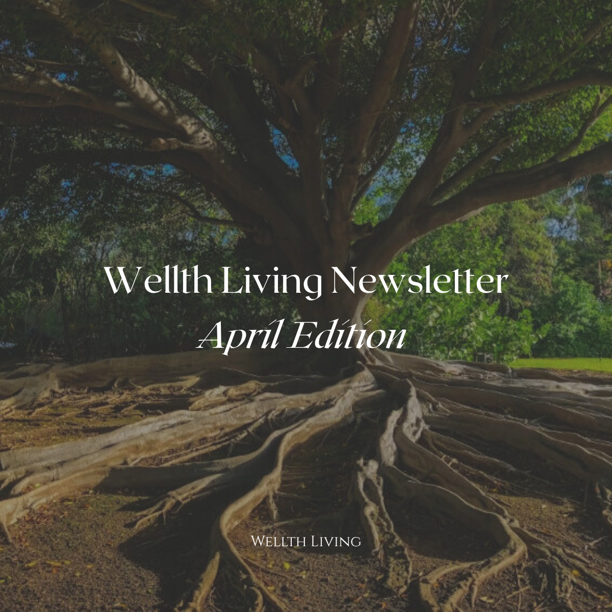 Wellth Living News April Edition