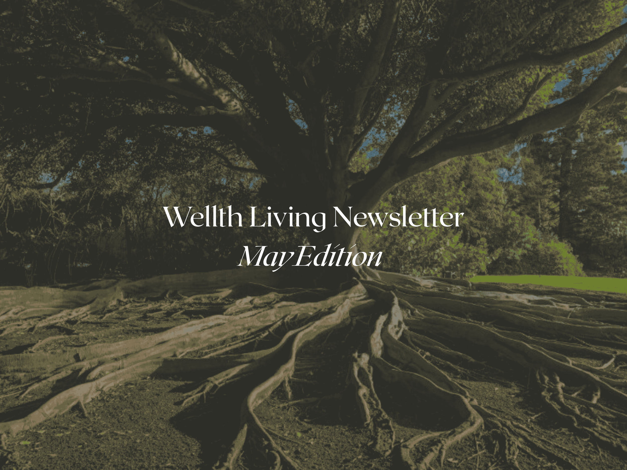 Wellth Living News April Edition (Copy)