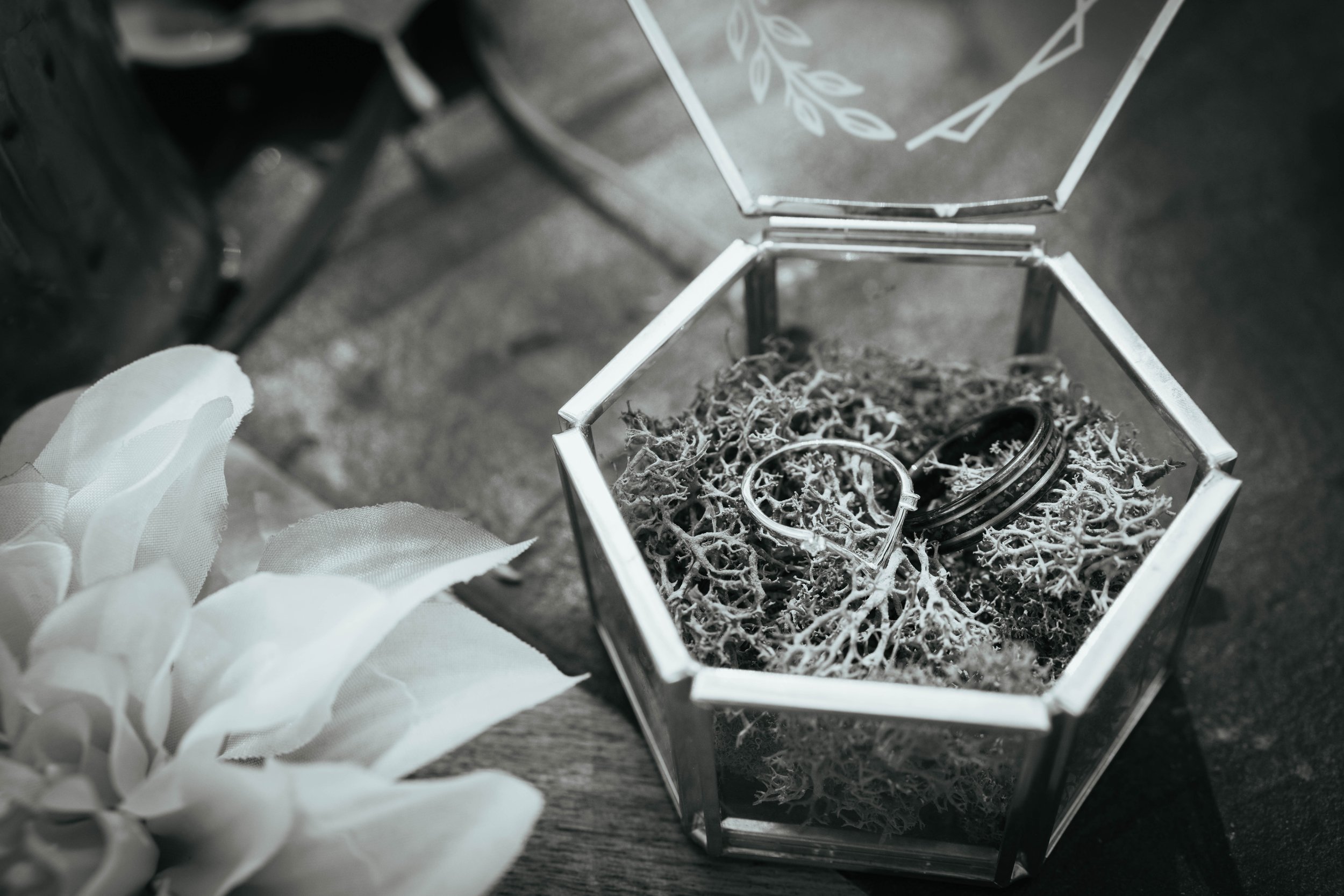 Champion-Wedding-FlamePointPhotoAndFilm-186.jpg