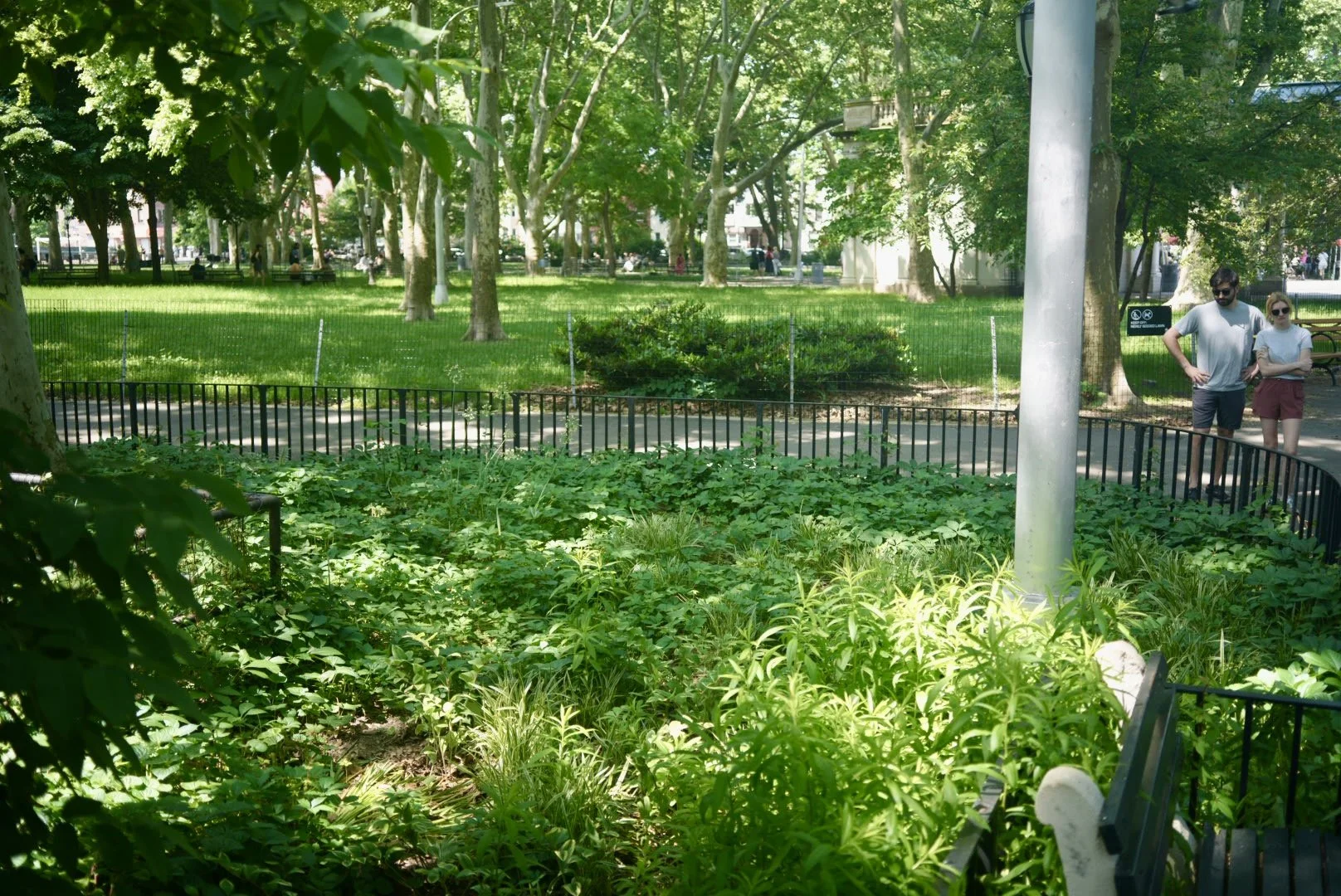 McGBirdGarden_PhotosJodieLove-2.jpg