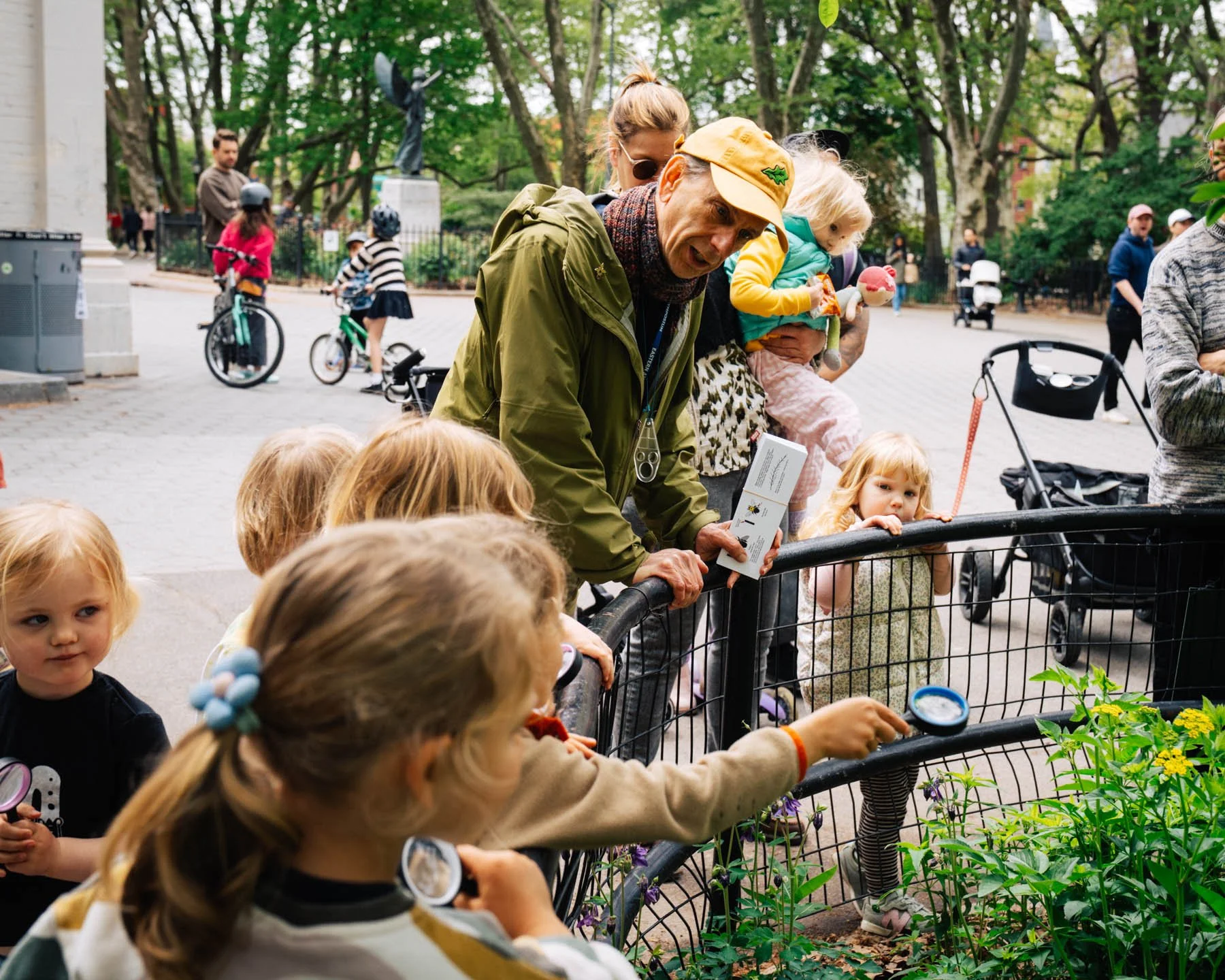Nature Walk, Pollinators + Other Insects, May 2, 2026
