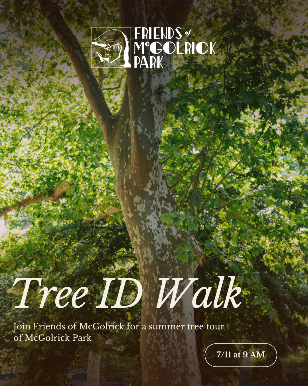Tree ID Nature Walk