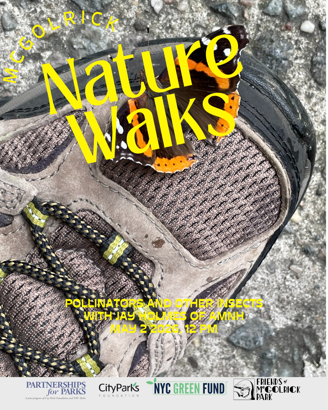 MCGOLRICK NATURE WALKSMEDITATION 25.png