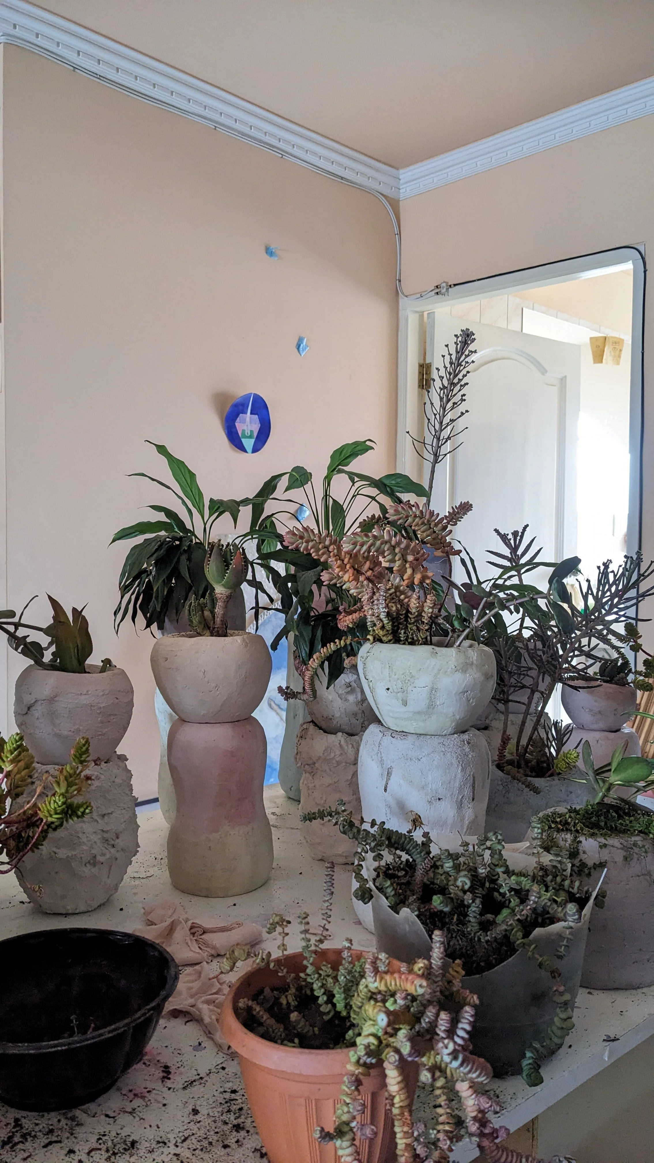 PXL_20231125_143234444.jpg