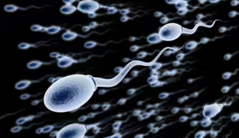 Can TRT Affect Fertility? What Men Need to Know Before Starting