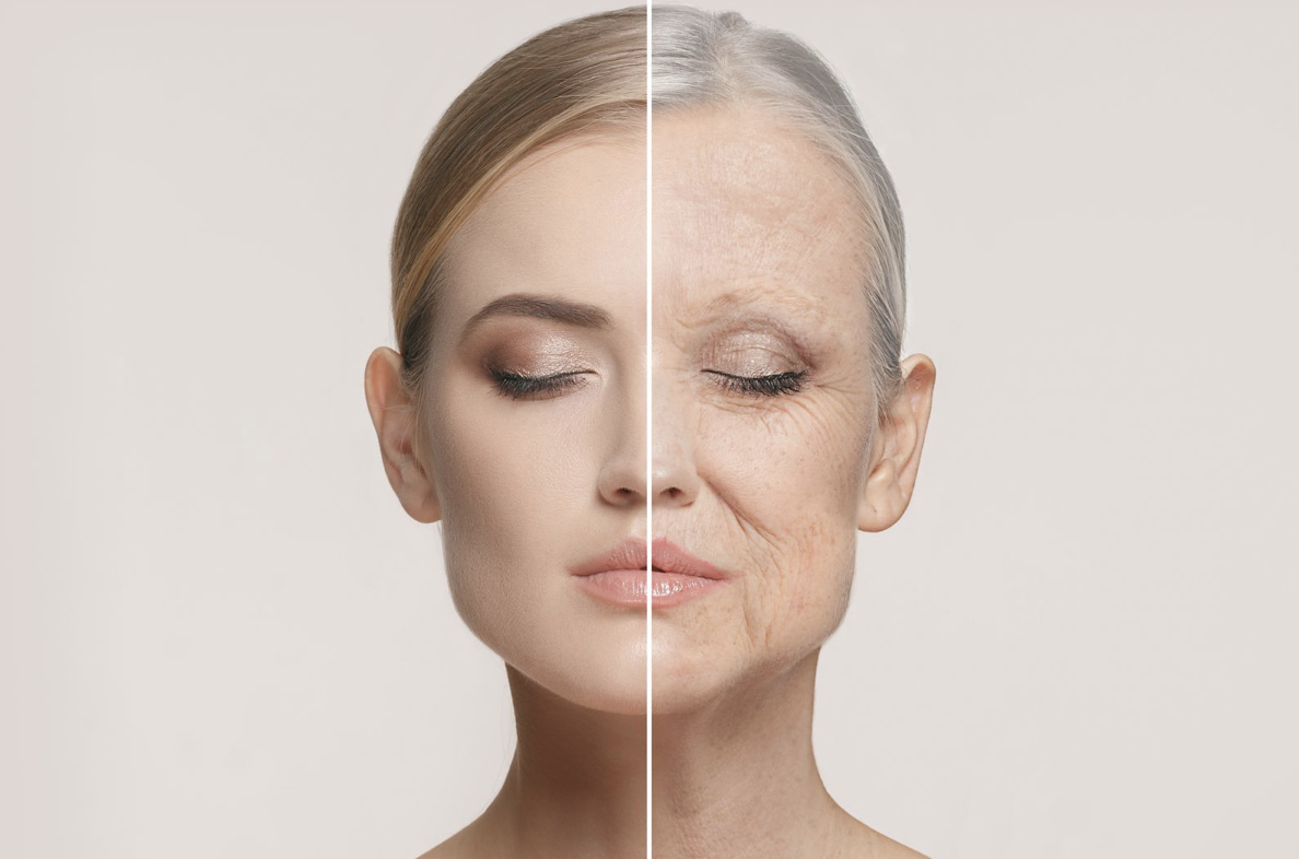 Everesse and Aging Skin: Supporting Firmness at Every Stage