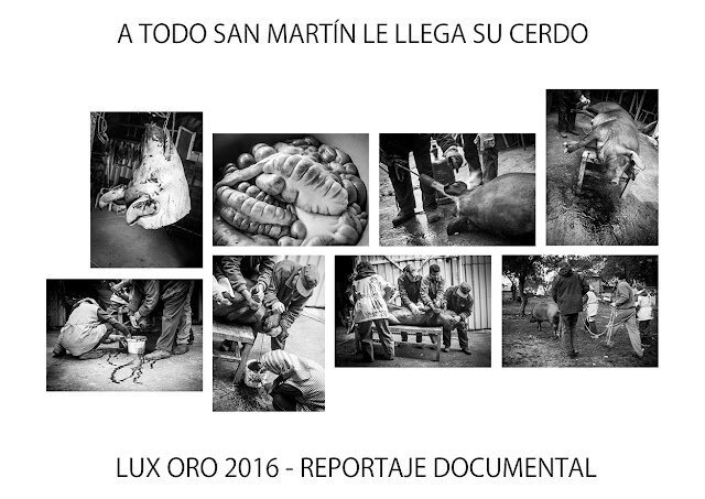 Rafa+Fierres+Lux+oro+reportaje+documental+2016.jpeg