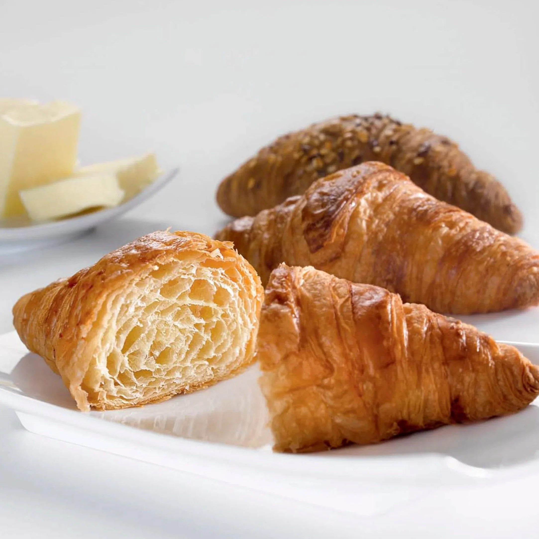 Imágenes para el catálogo de Panamar (2014–2015)