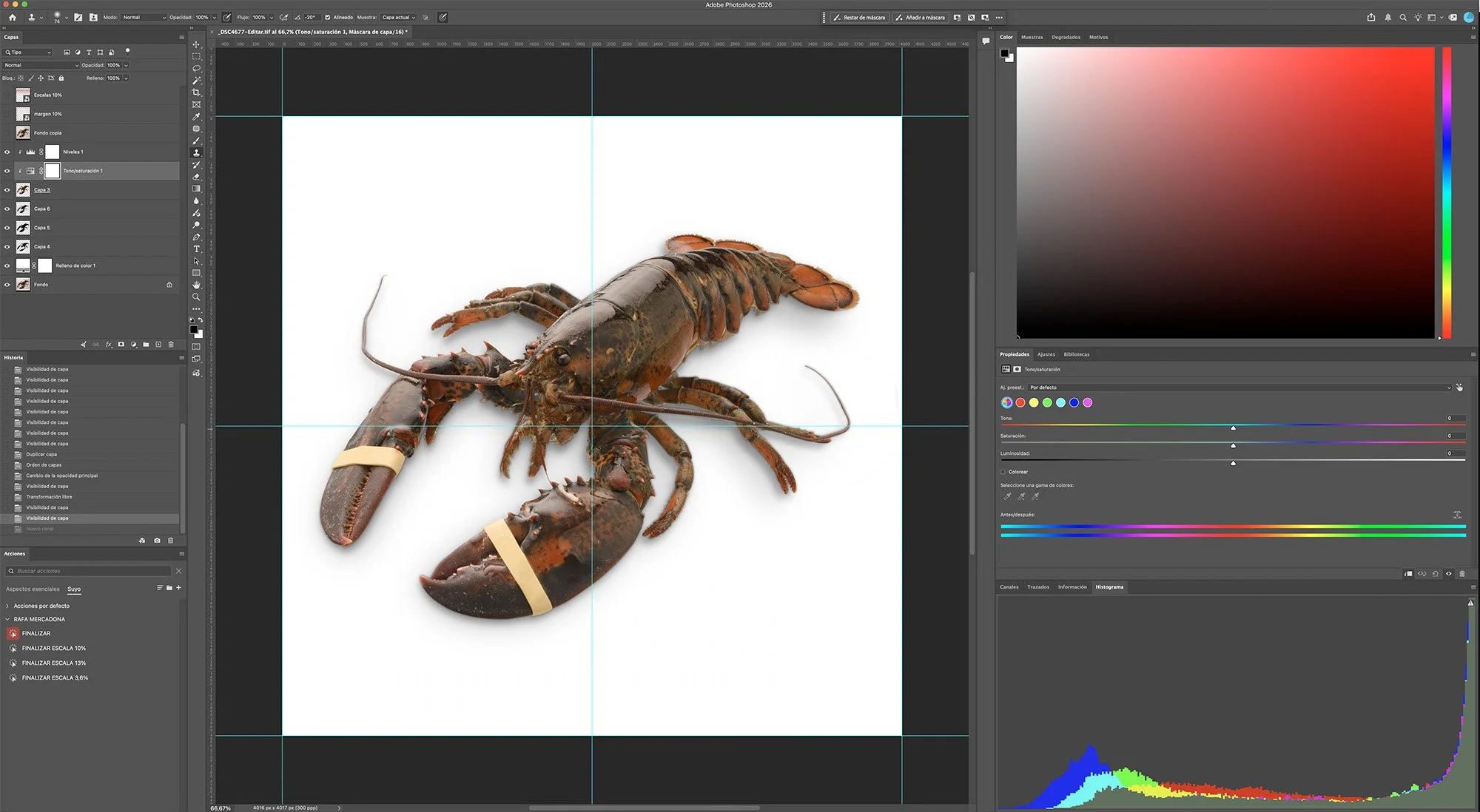 Gestión de color de una fotografía de producto en Photoshop: bogavante recortado con capa de tono/saturación e histograma RGB.