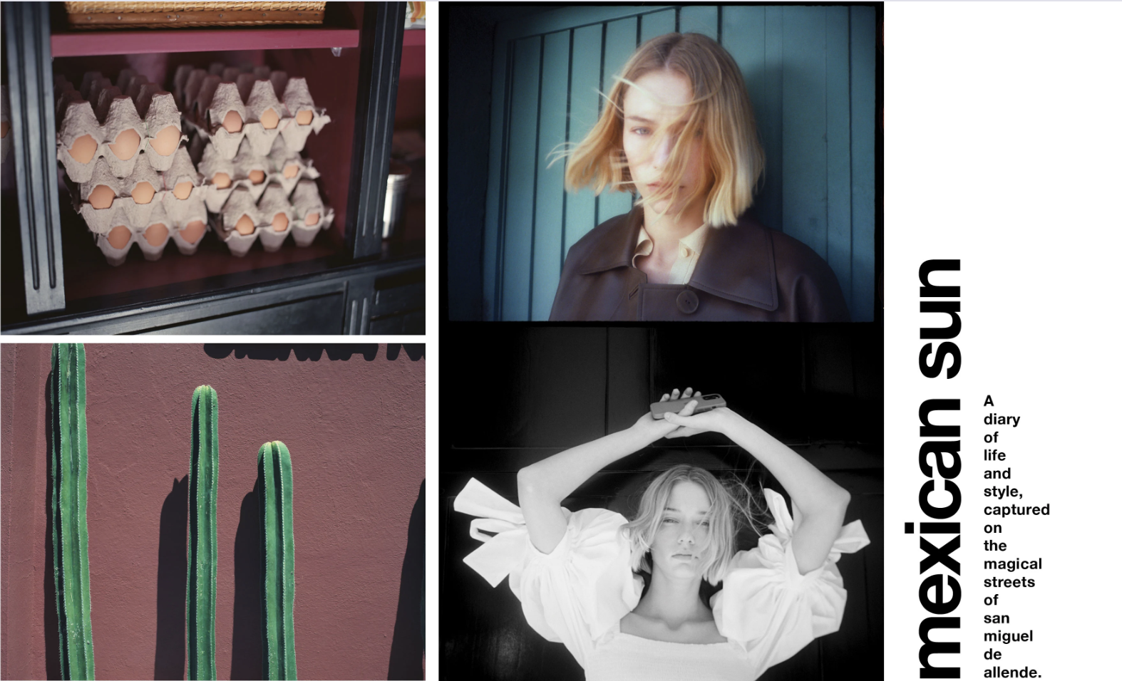 Screen Shot 2022-12-01 at 10.06.04 AM.png