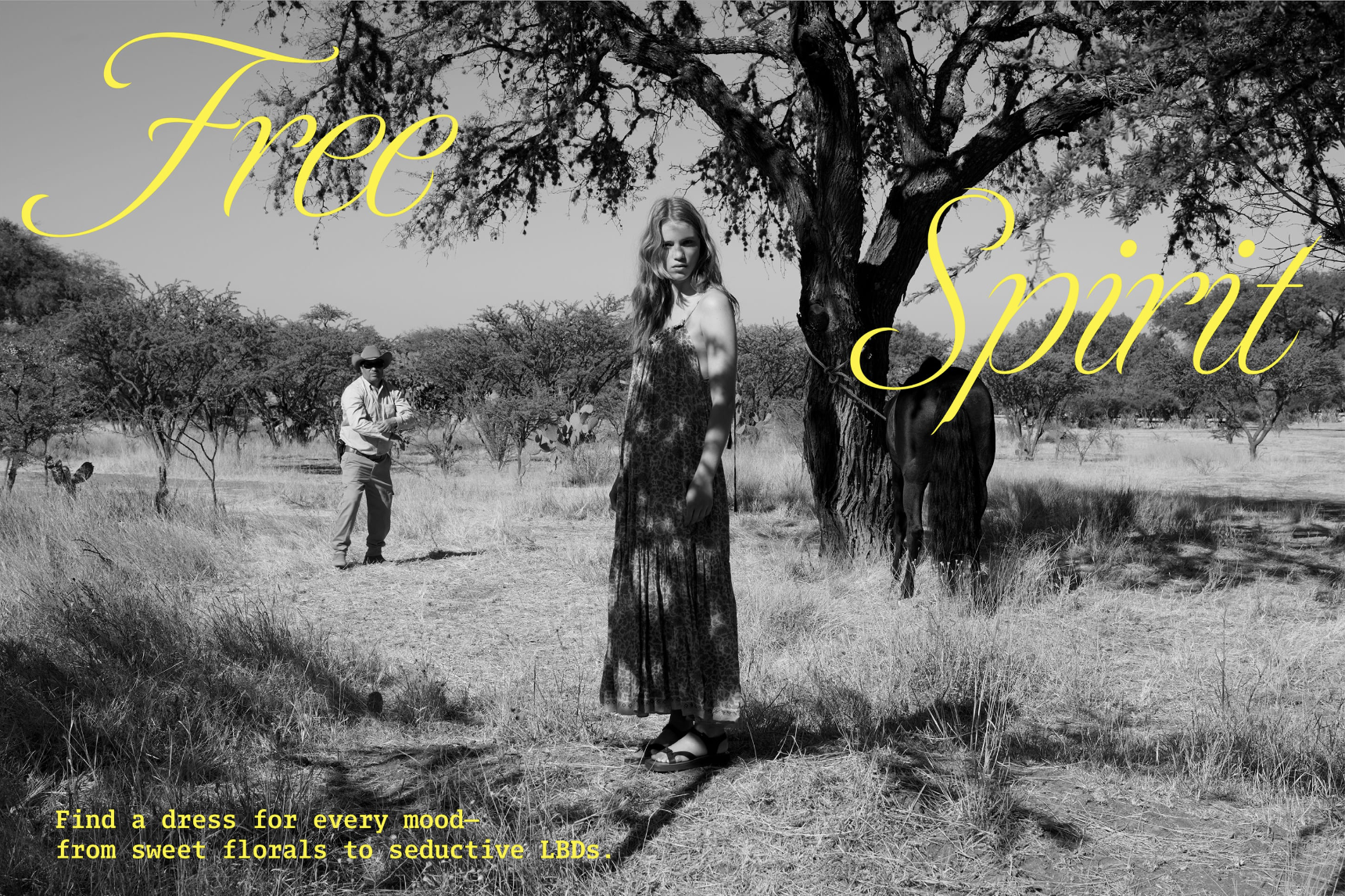 Screen Shot 2022-12-01 at 10.08.26 AM.png