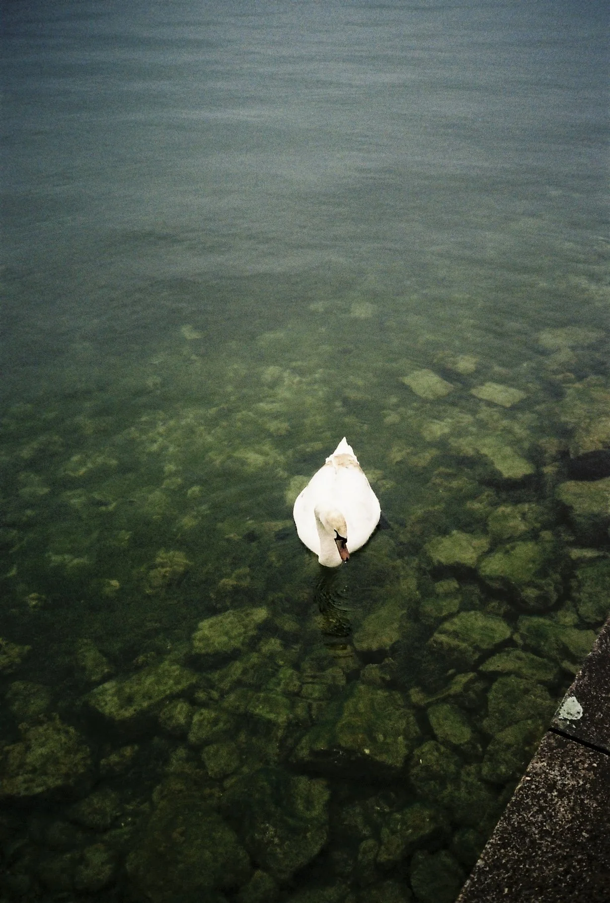 C082354-R1-28-9A.jpeg